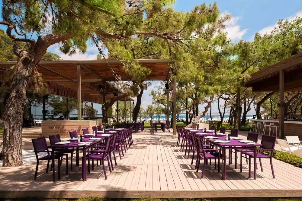 Lame de terrasse Desert Sand, lame terrasse pas cher