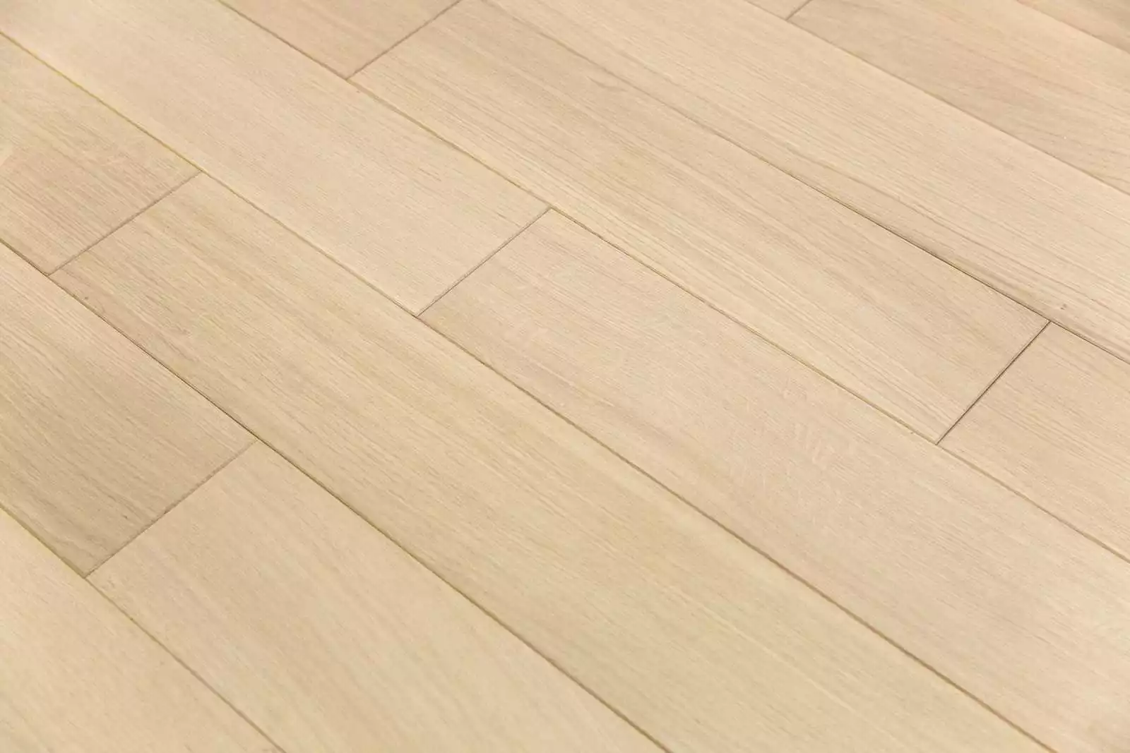 SAND OAK NOBLESS - Image 3