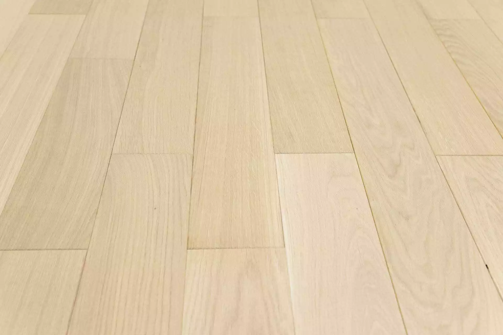 SAND OAK NOBLESS - Image 2