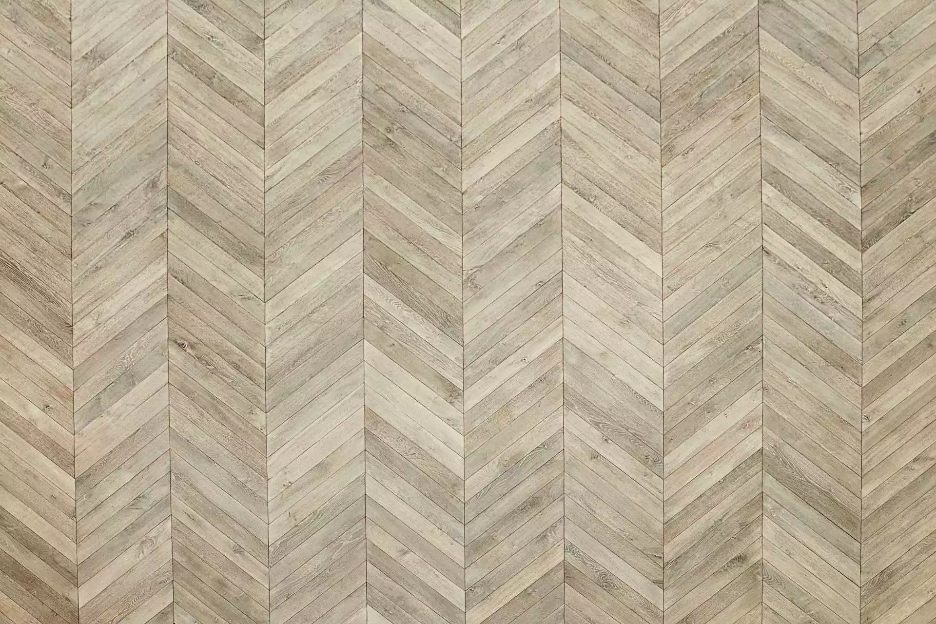 CÉLESTE CHEVRON - Image 4