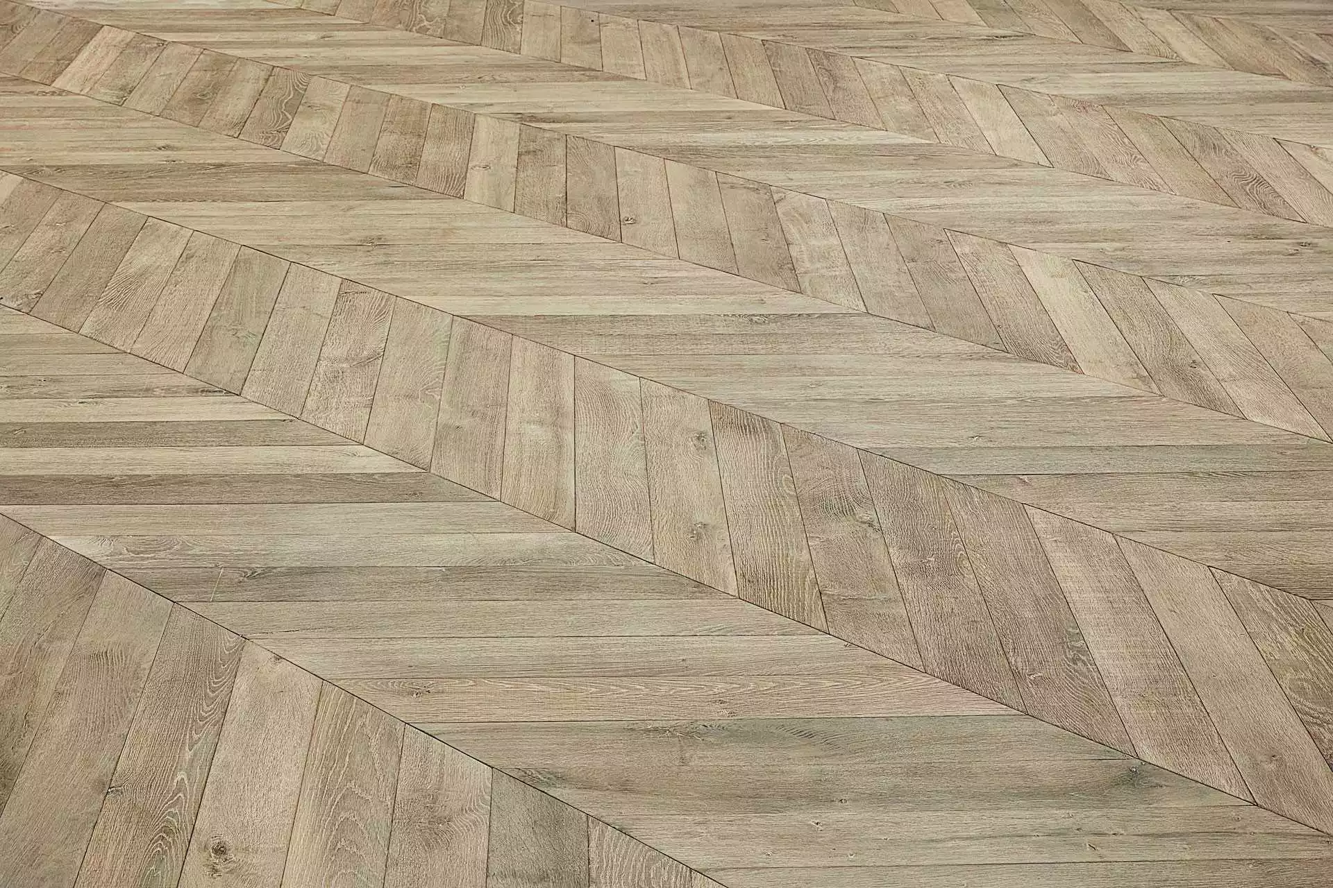 CÉLESTE CHEVRON - Image 6