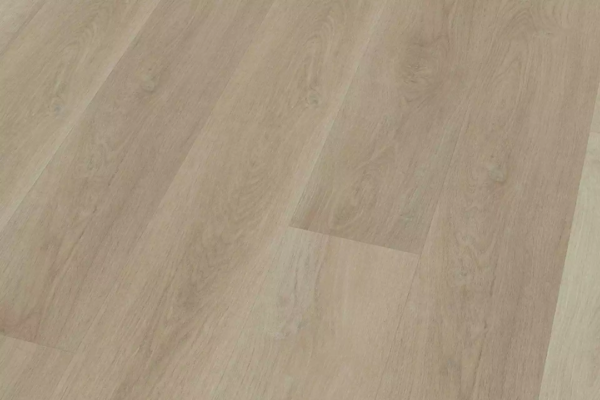 Fresh Oak Light Greige XL - Image 3