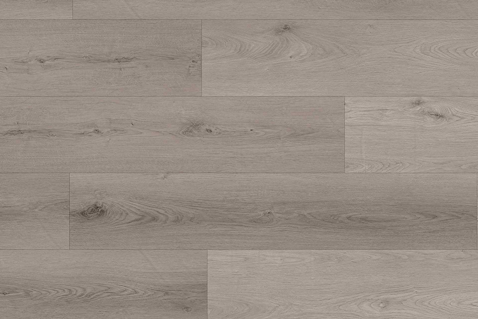 Tigris Rhino - Image 1