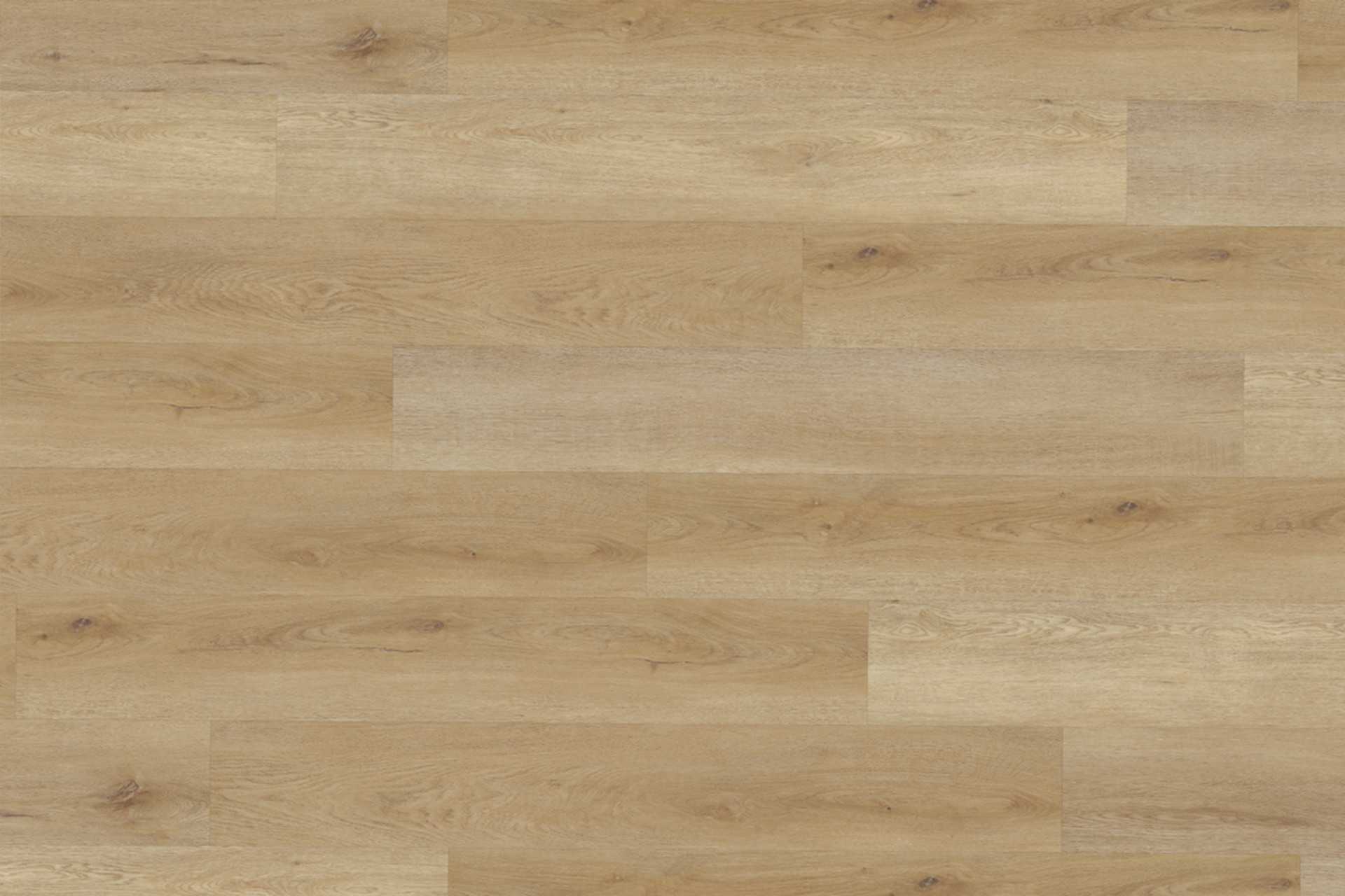 Delicate Oak Natural XL - Image 1
