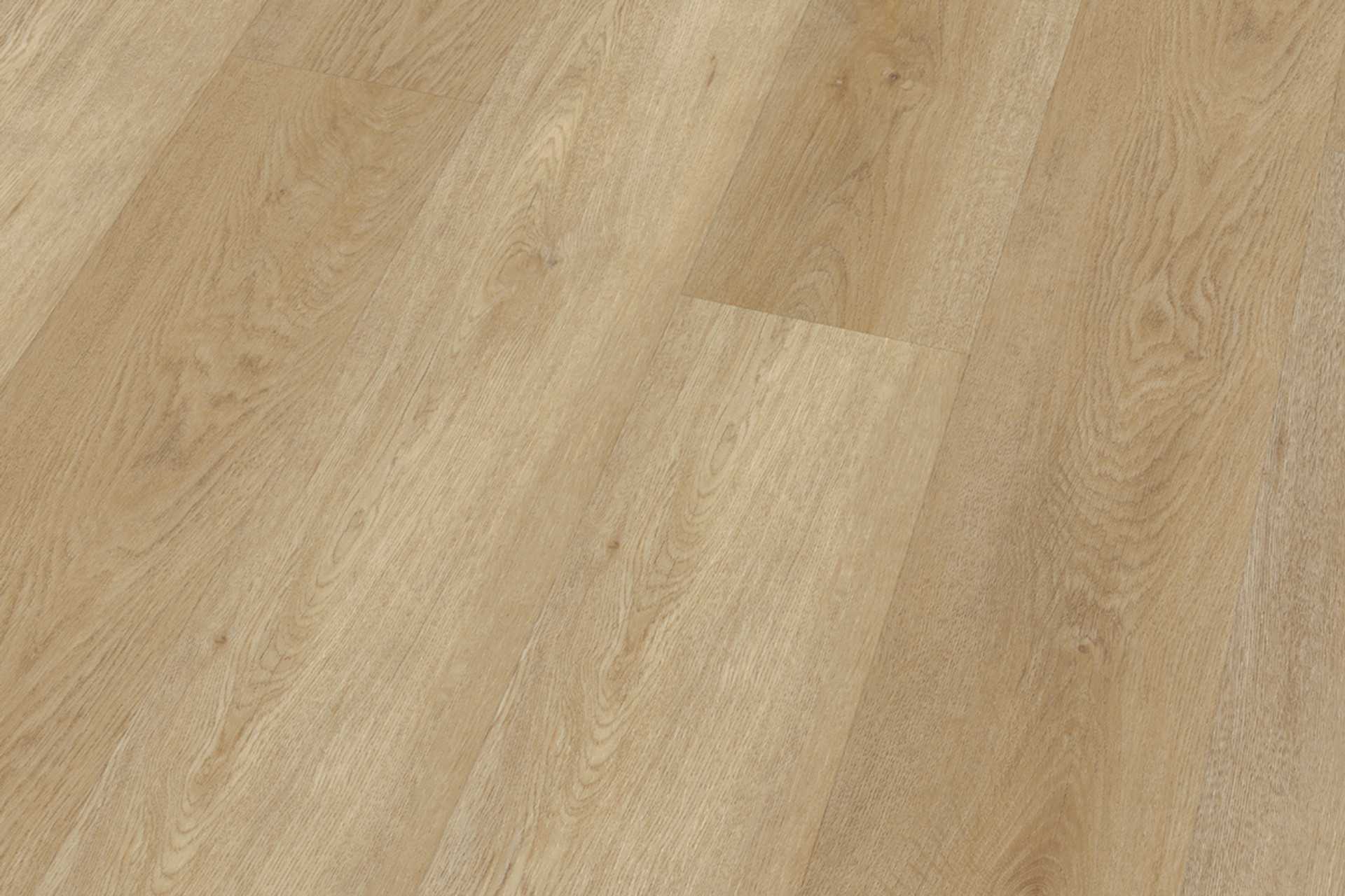 Delicate Oak Natural XL - Image 3