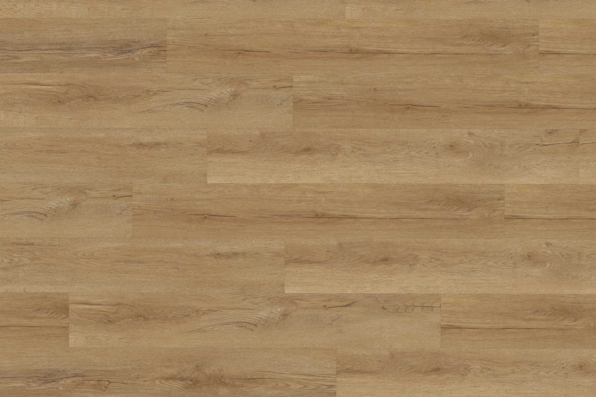 Bavarian Oak Honey XL - Image 2