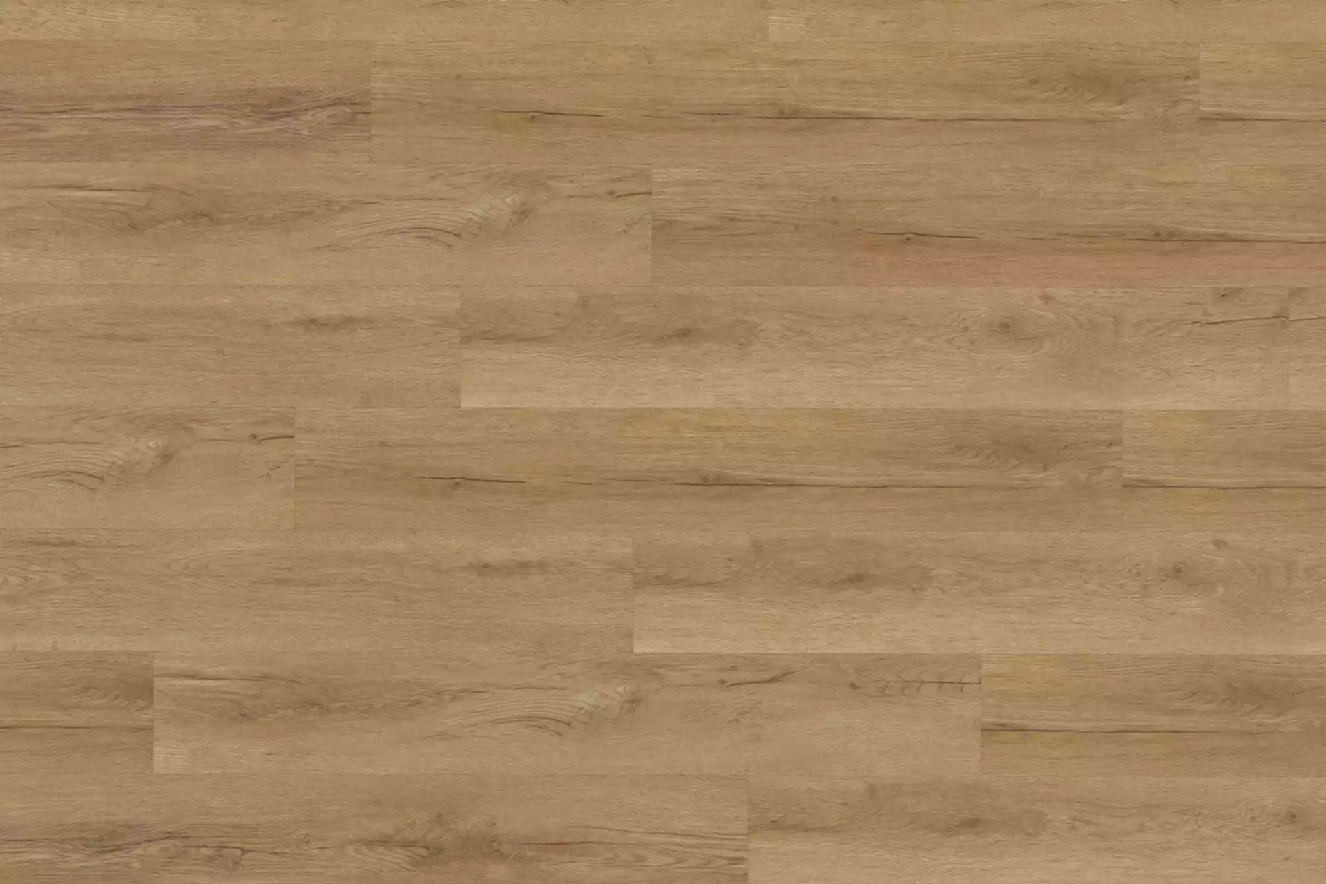 Bavarian Oak Honey XL - Image 2