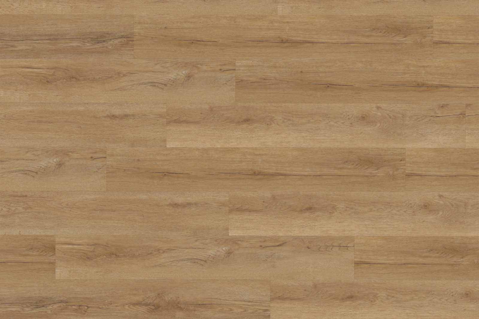 Bavarian Oak Honey XL - Image 2
