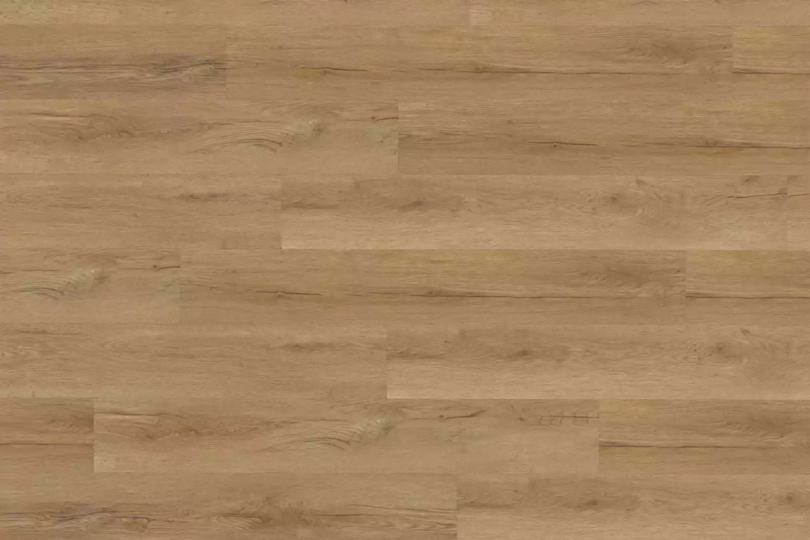 Bavarian Oak Honey XL - Image 2