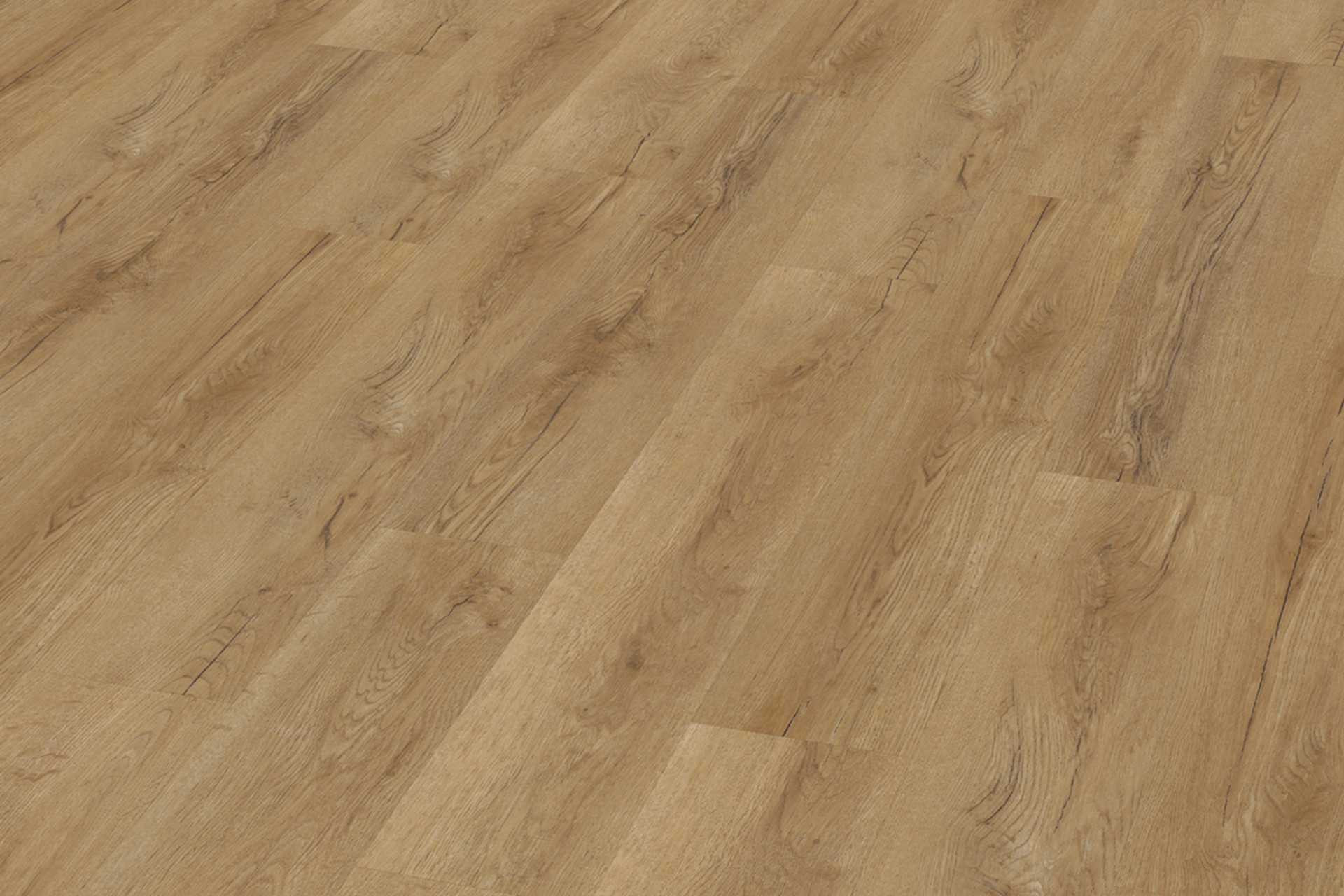 Bavarian Oak Honey XL - Image 1