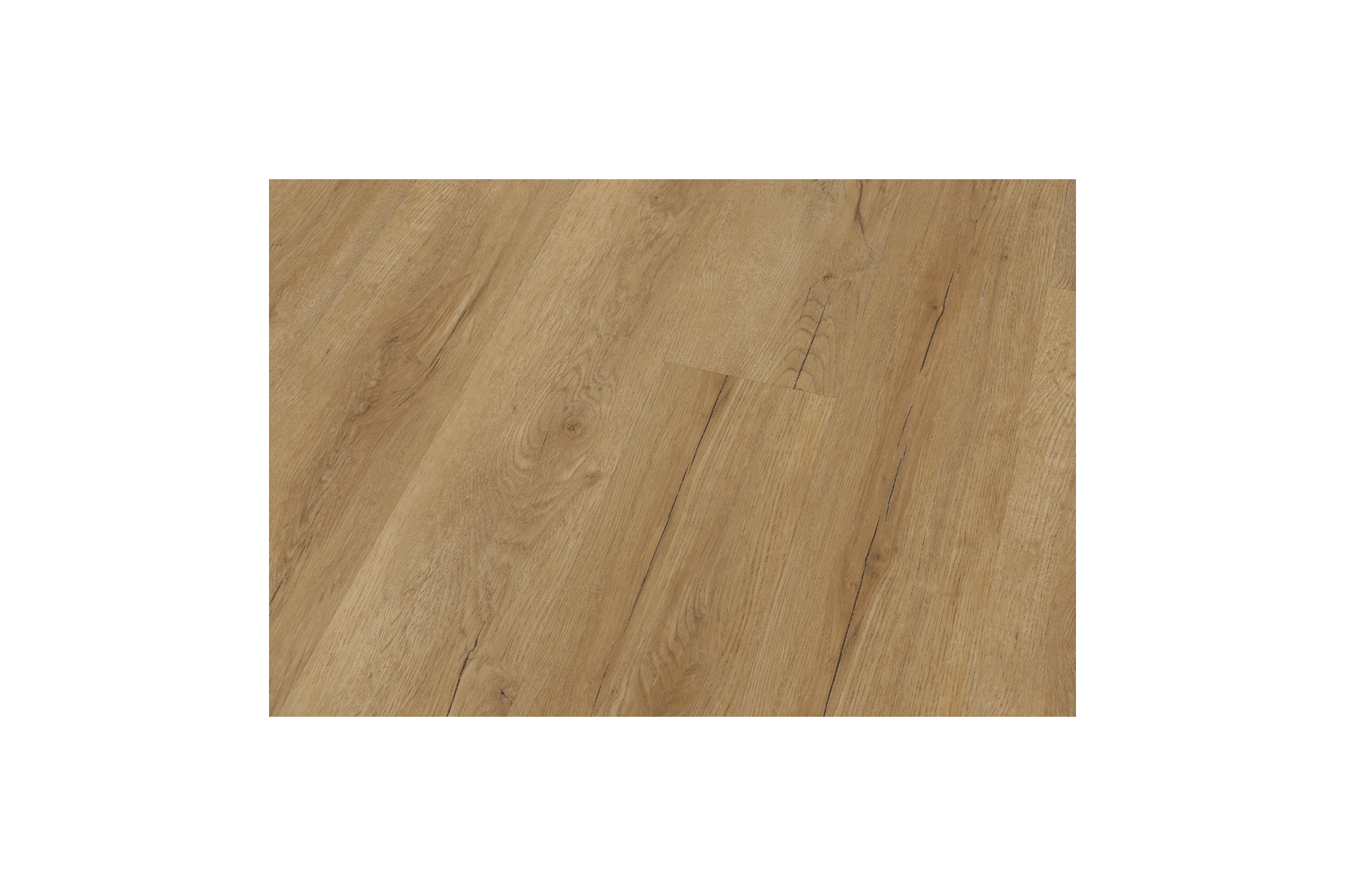 Bavarian Oak Honey XL - Image 3
