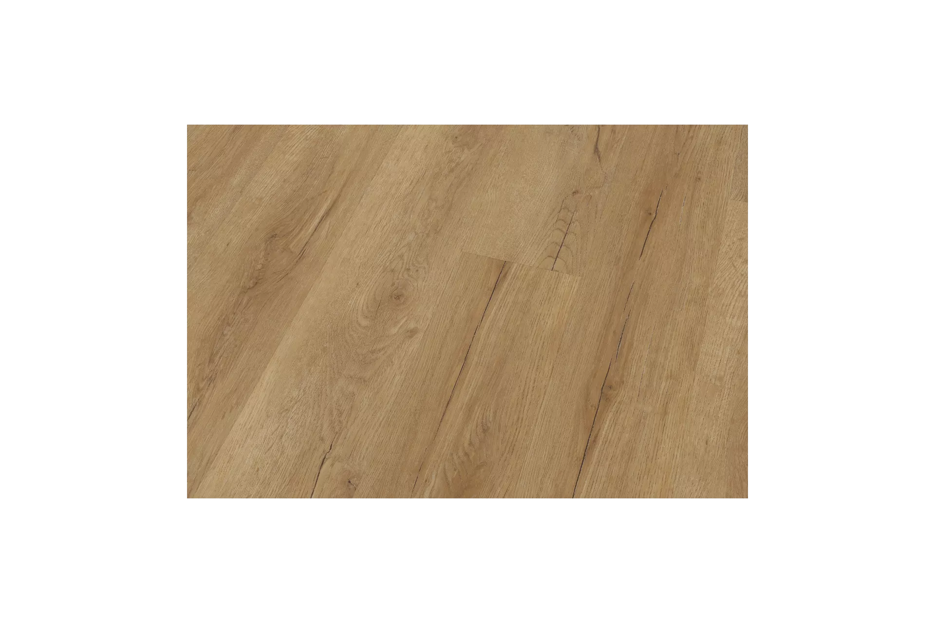 Bavarian Oak Honey XL - Image 3