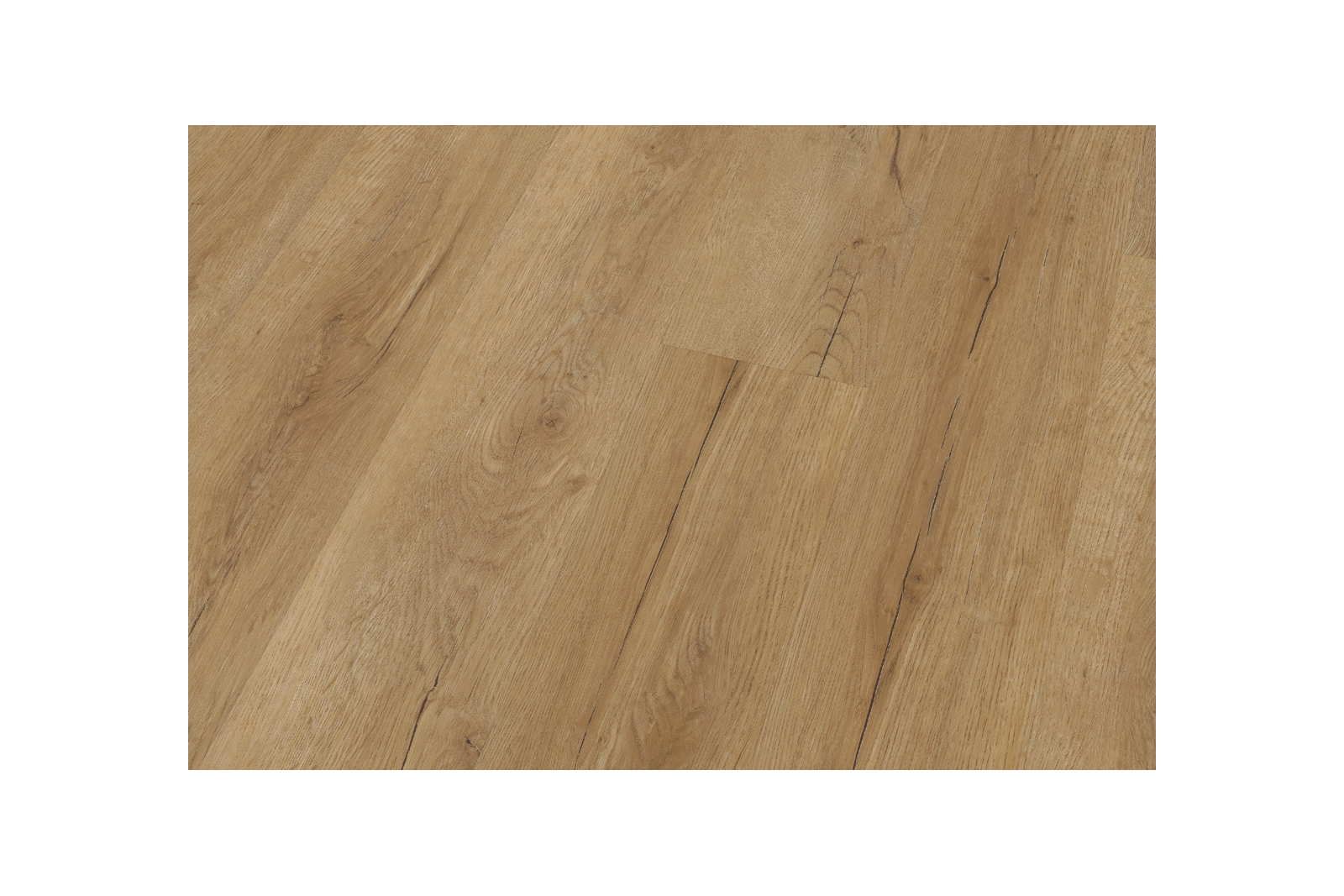 Bavarian Oak Honey XL - Image 3