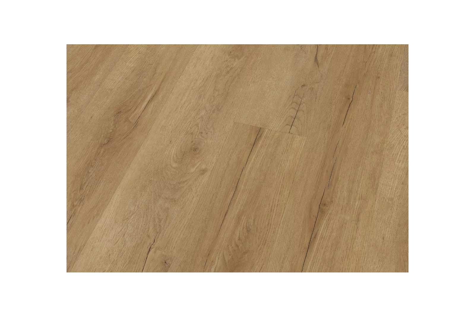 Bavarian Oak Honey XL - Image 3
