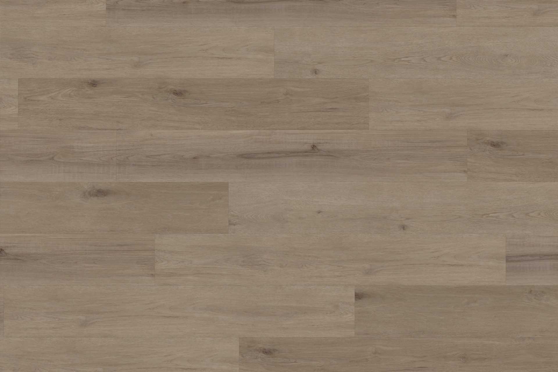 Aspen Oak Dark Greige XL - Image 1