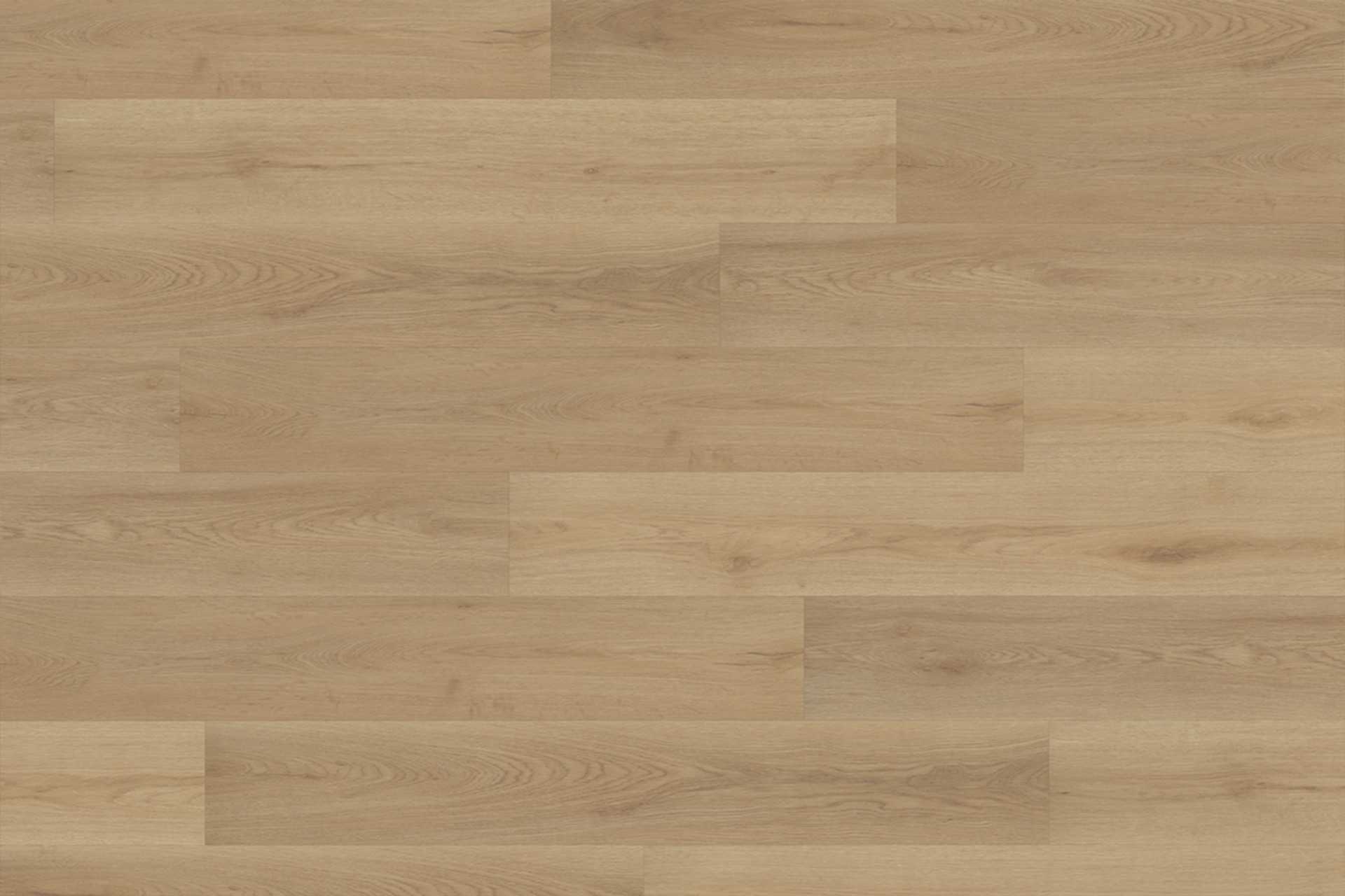 Nordic Oak Light Natural XL - Image 1