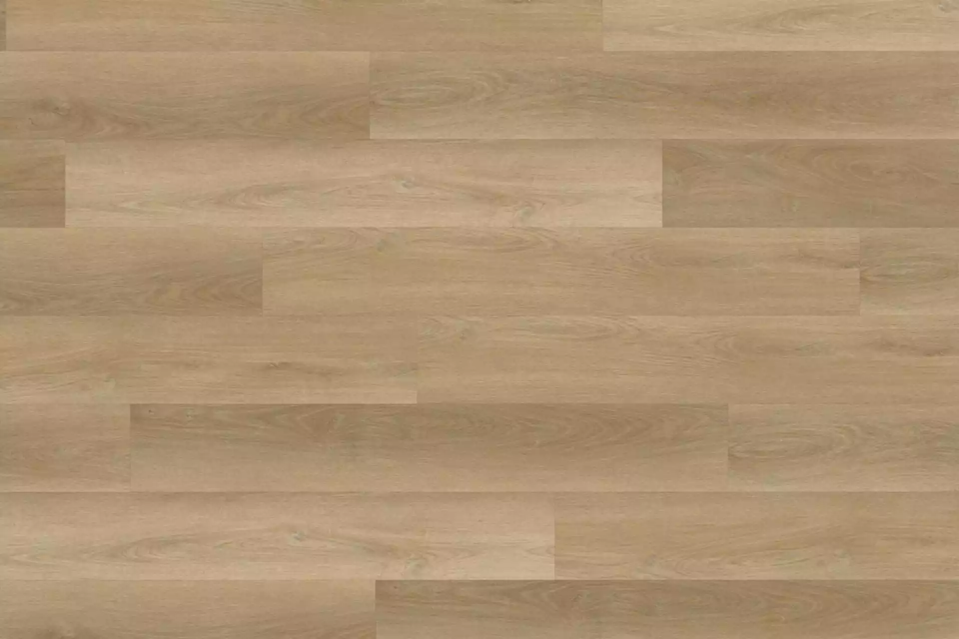 Fresh Oak Natural XL - Image 0