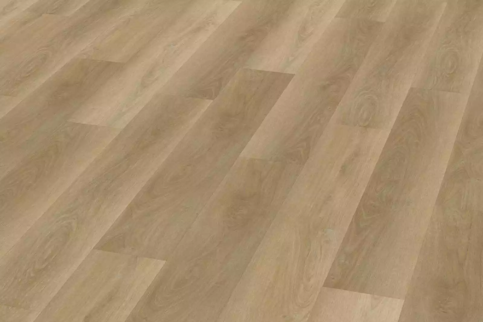 Fresh Oak Natural XL - Image 2