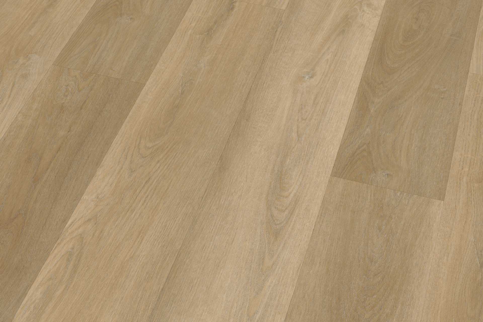 Fresh Oak Natural XL - Image 3