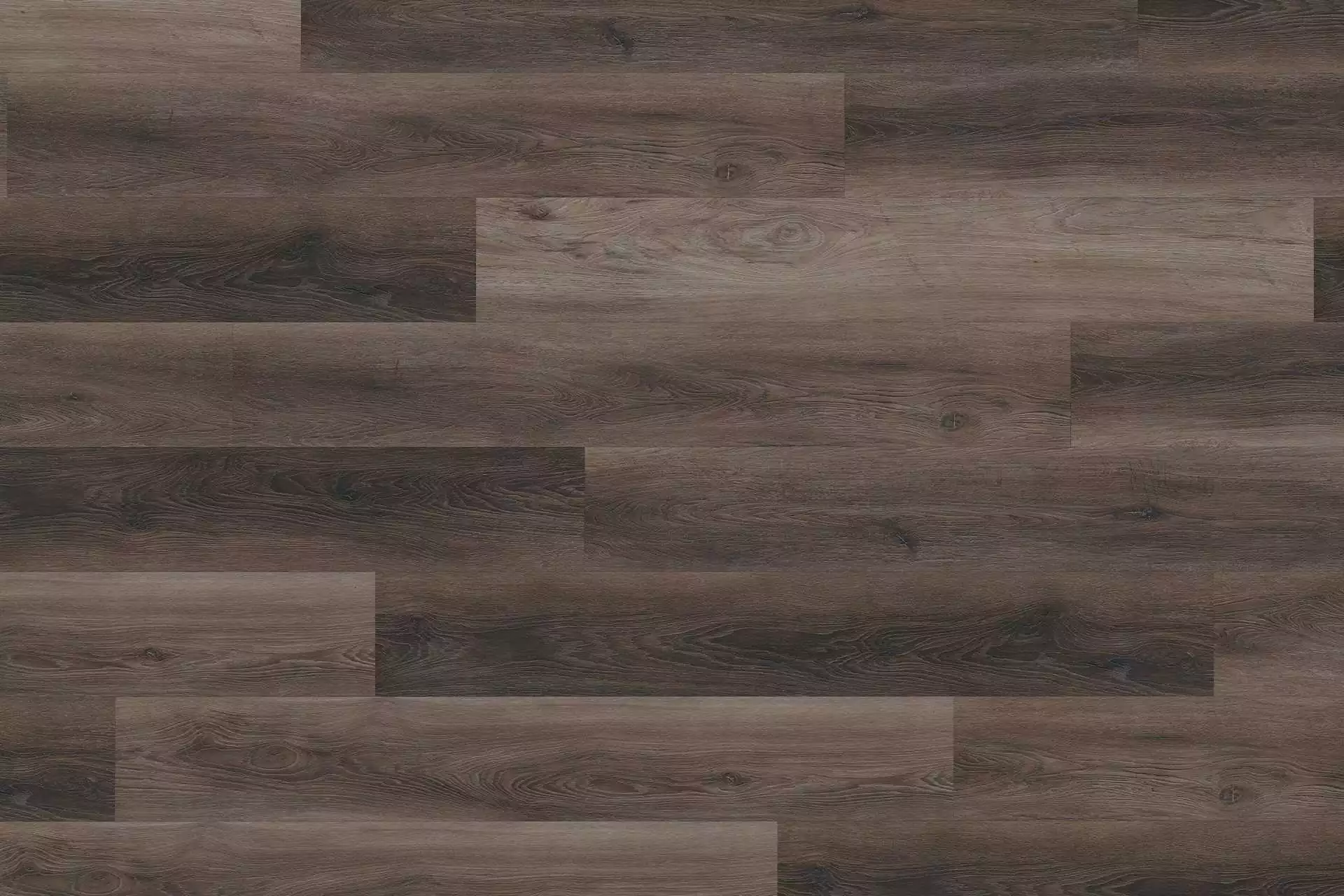 Solide Walnut Dark Brown XL - Image 1