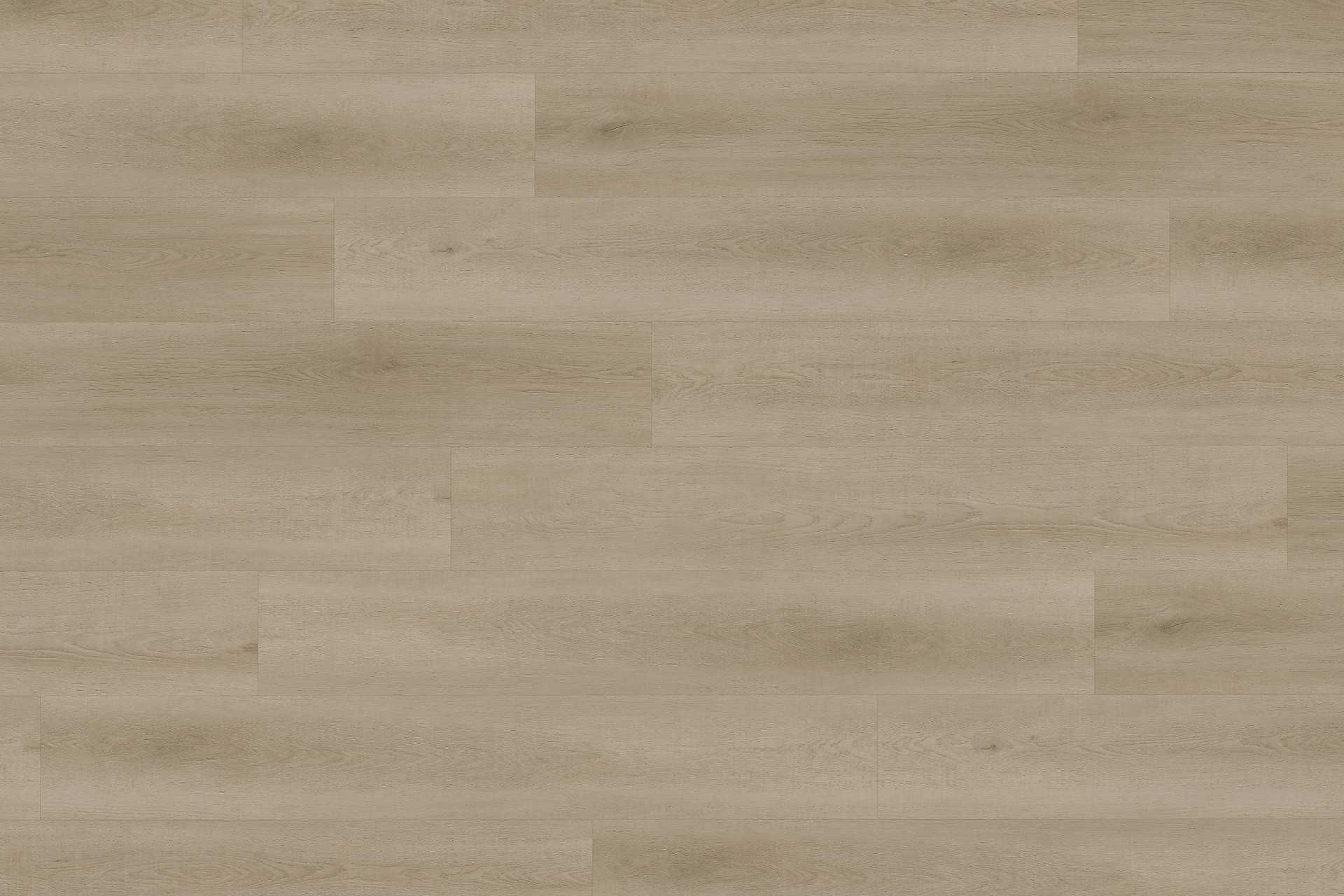 Solide Raw Oak Light Natural XL - Image 1