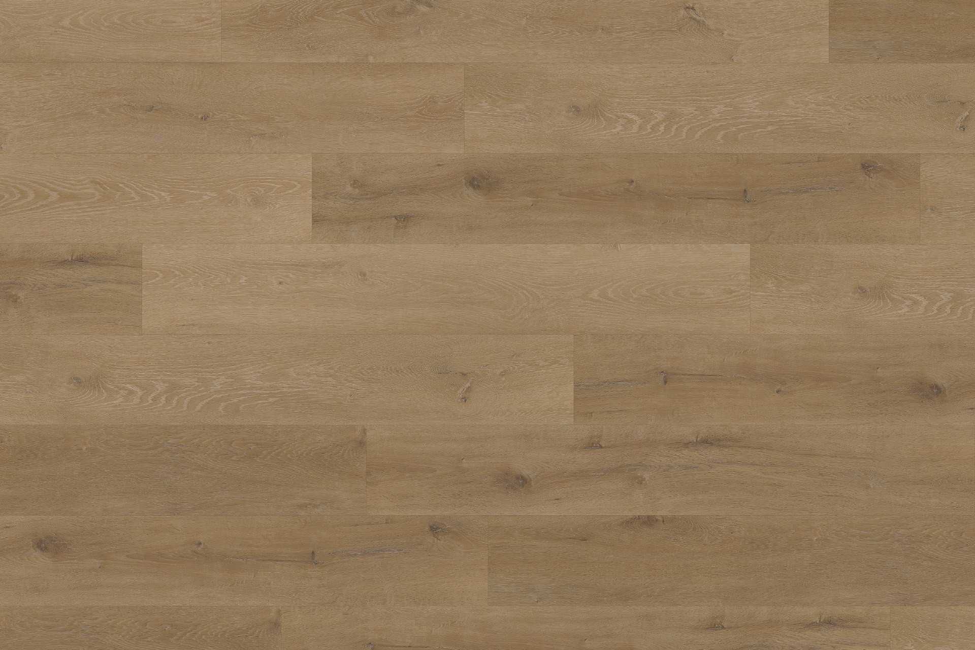 Solide Prestige Oak Light Amber XL - Image 1