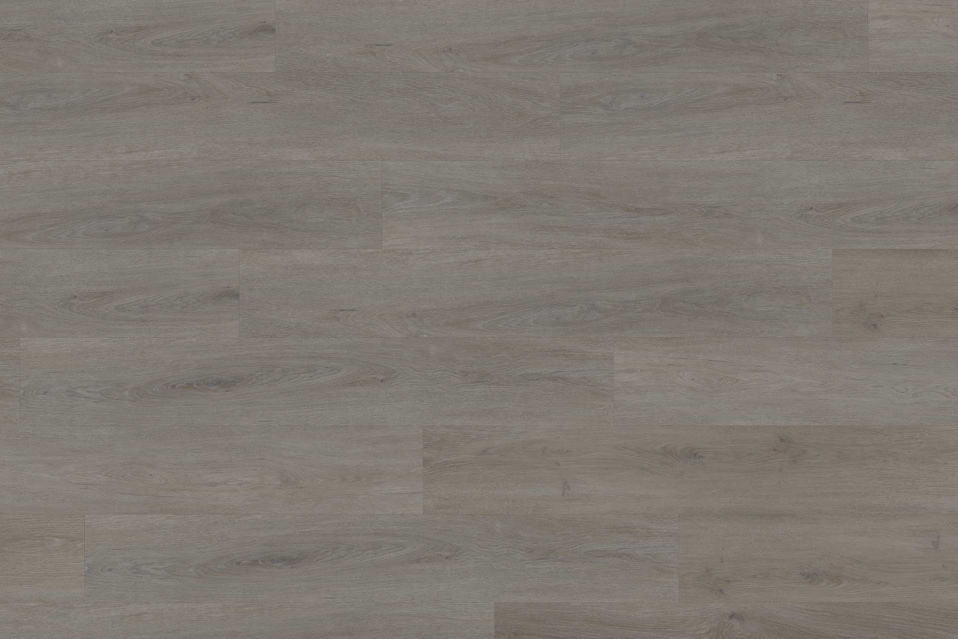Solide English Oak Taupe XL - Image 2