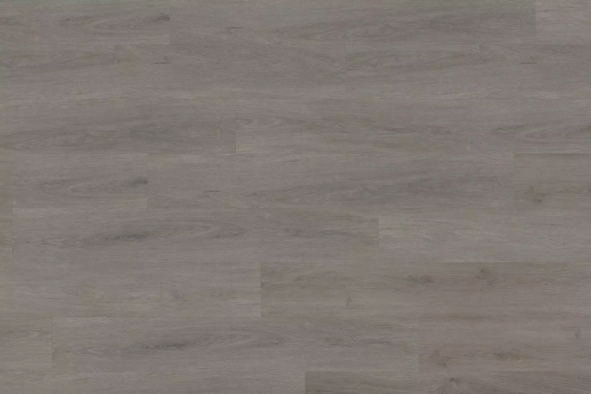 Solide English Oak Taupe XL - Image 2