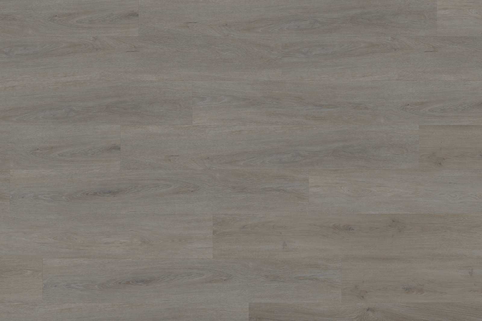Solide English Oak Taupe XL - Image 2