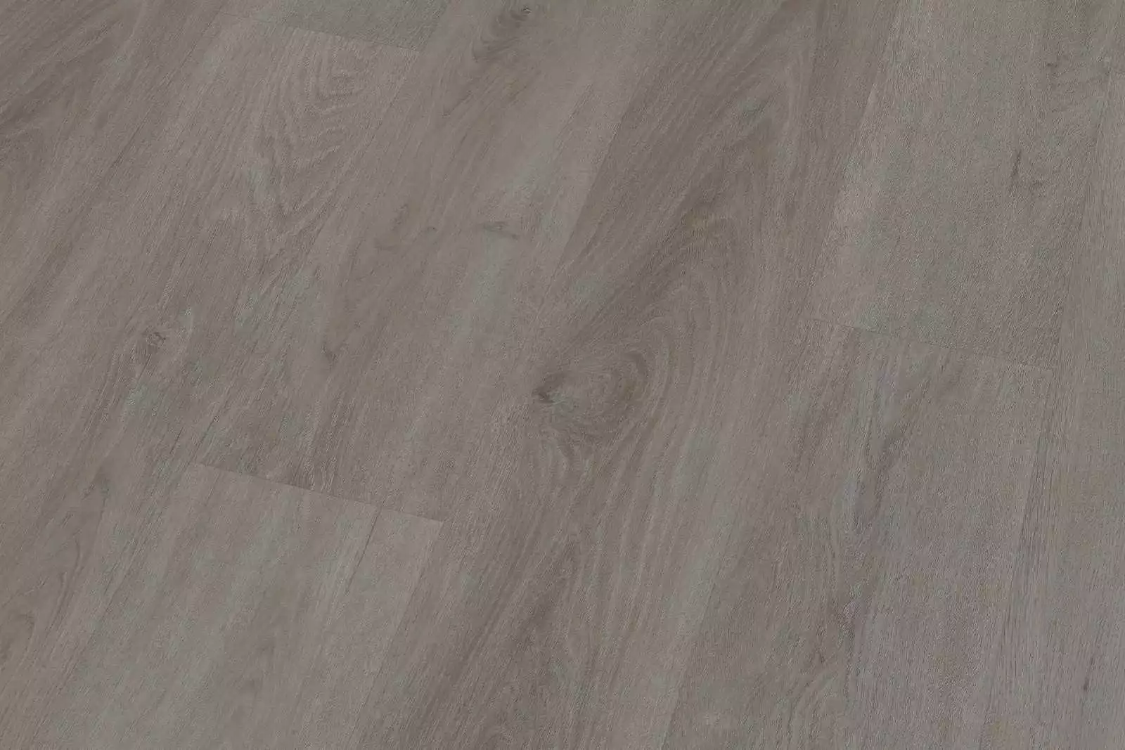 Solide English Oak Taupe XL - Image 5