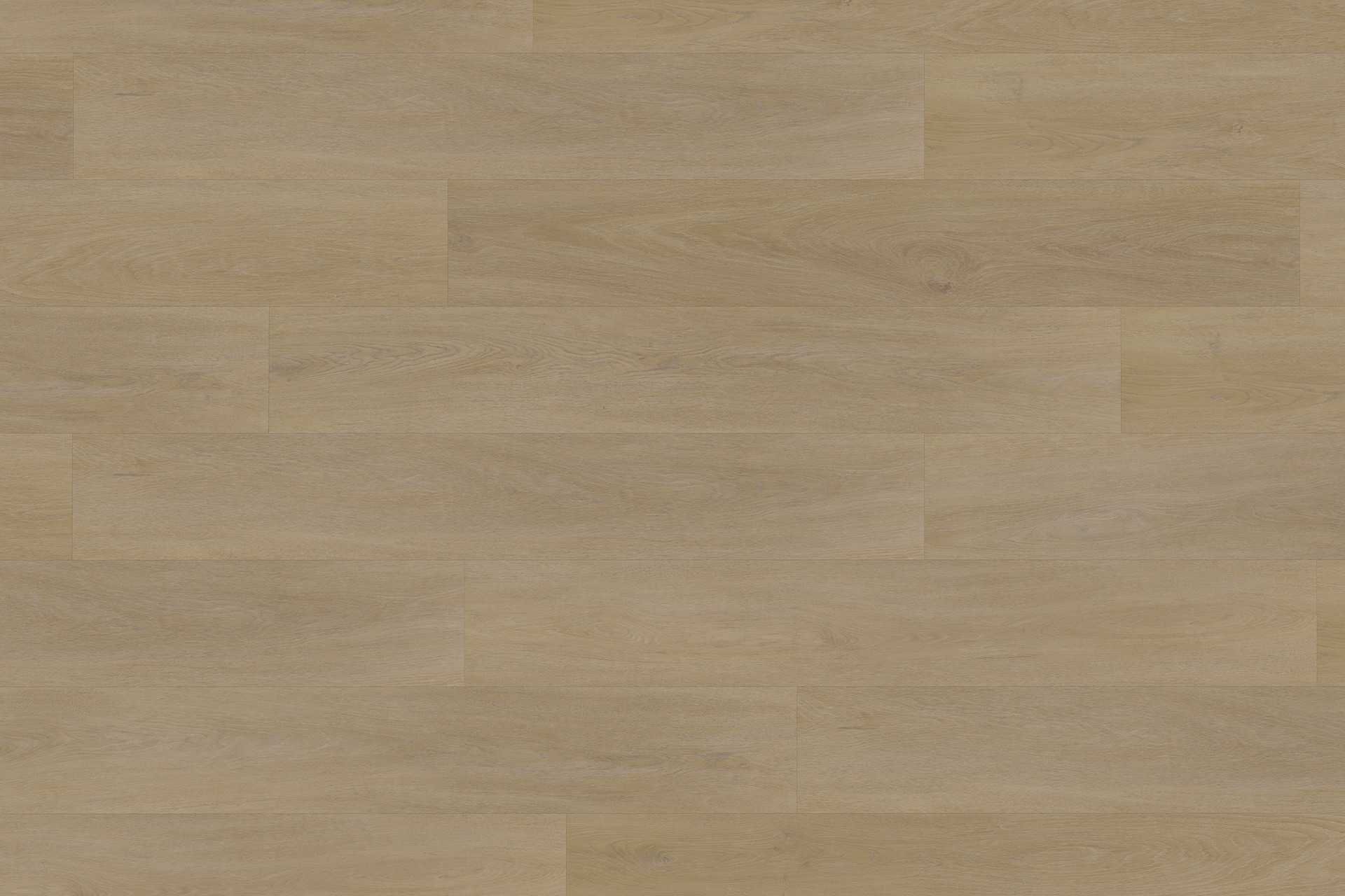 Solide English Oak Natural XL - Image 2