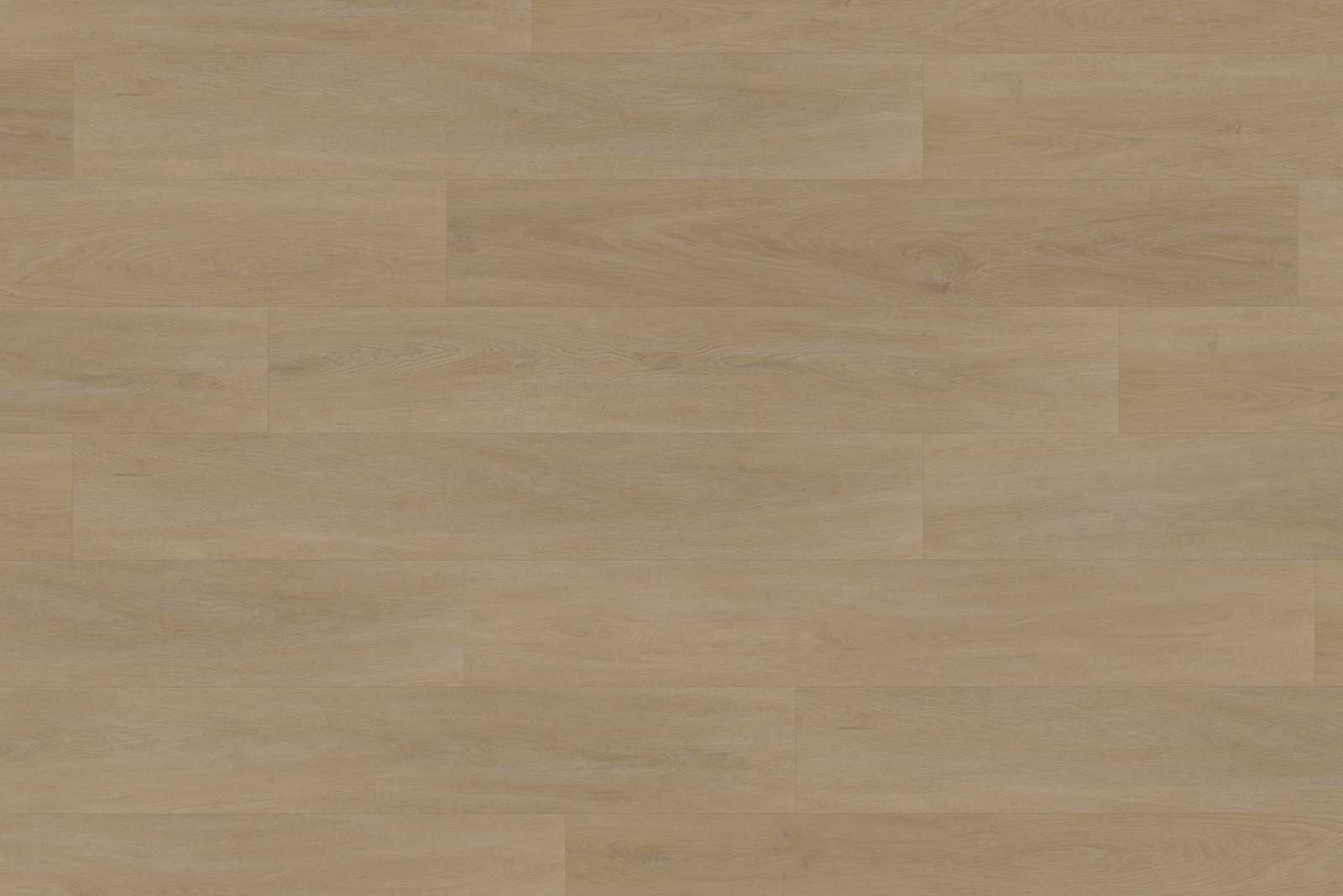 Solide English Oak Natural XL - Image 2