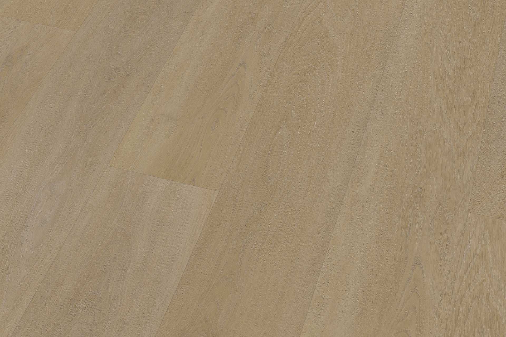 Solide English Oak Natural XL - Image 5