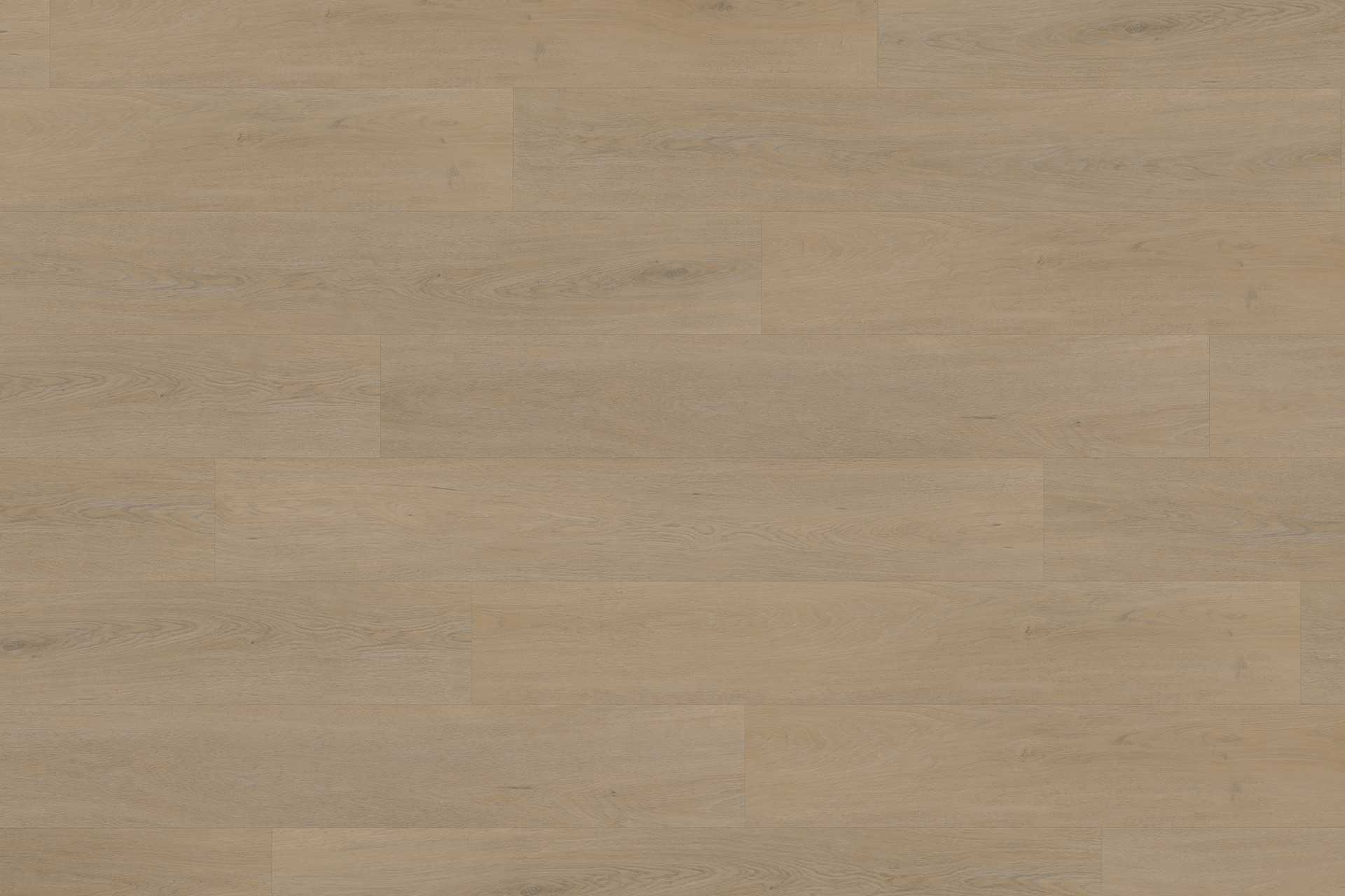 Solide English Oak Warm Natural XL - Image 2