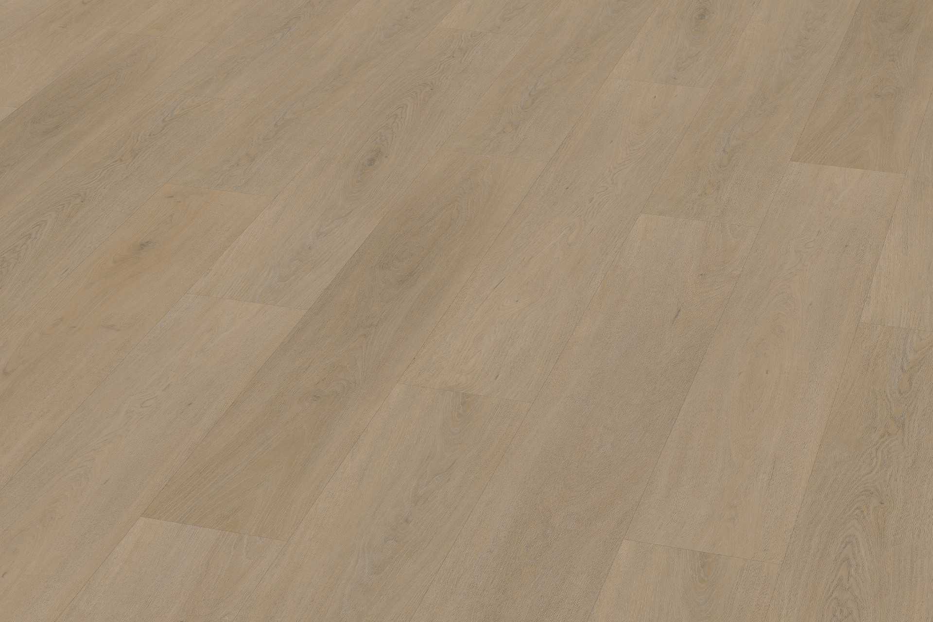 Solide English Oak Warm Natural XL - Image 4