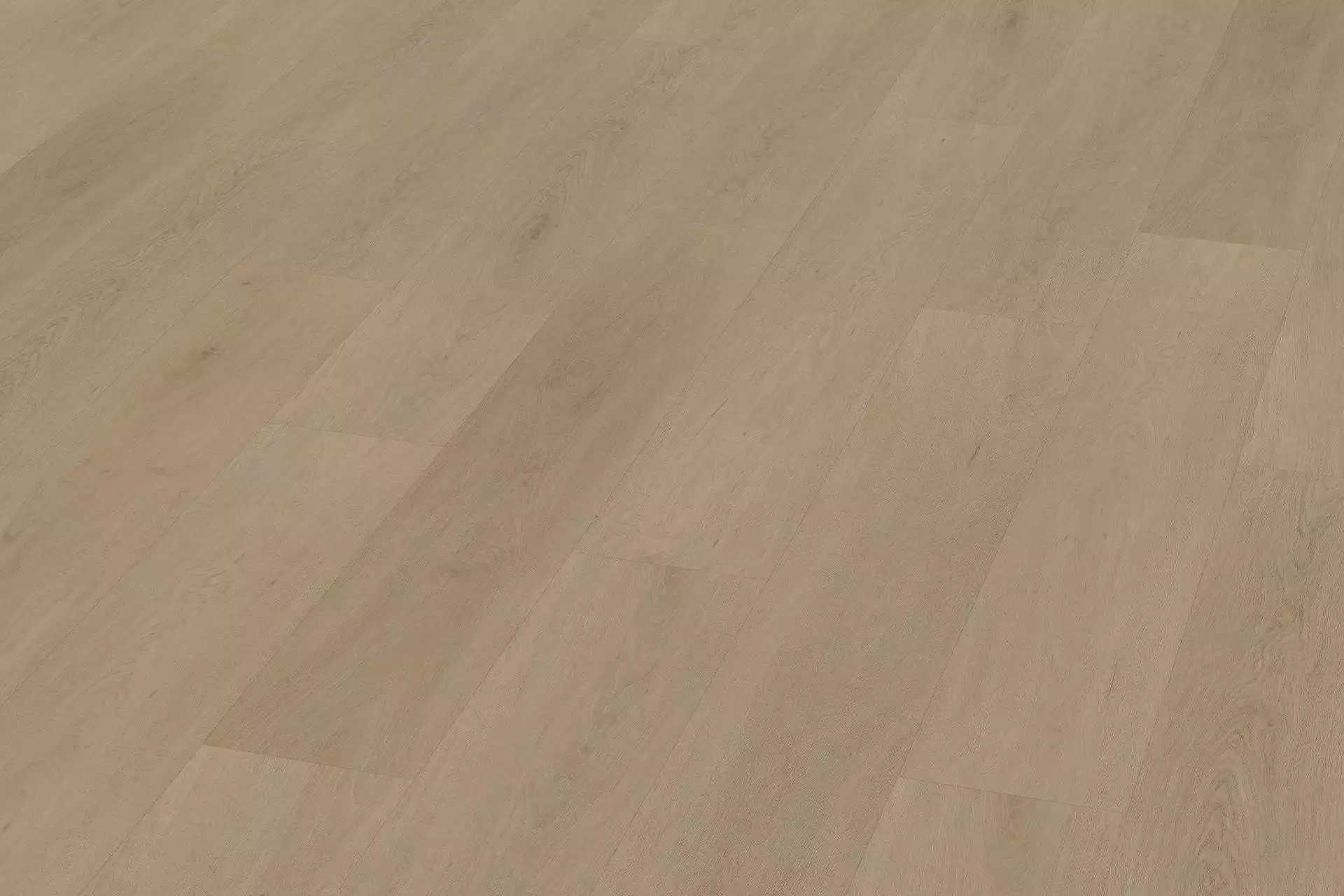 Solide English Oak Warm Natural XL - Image 4