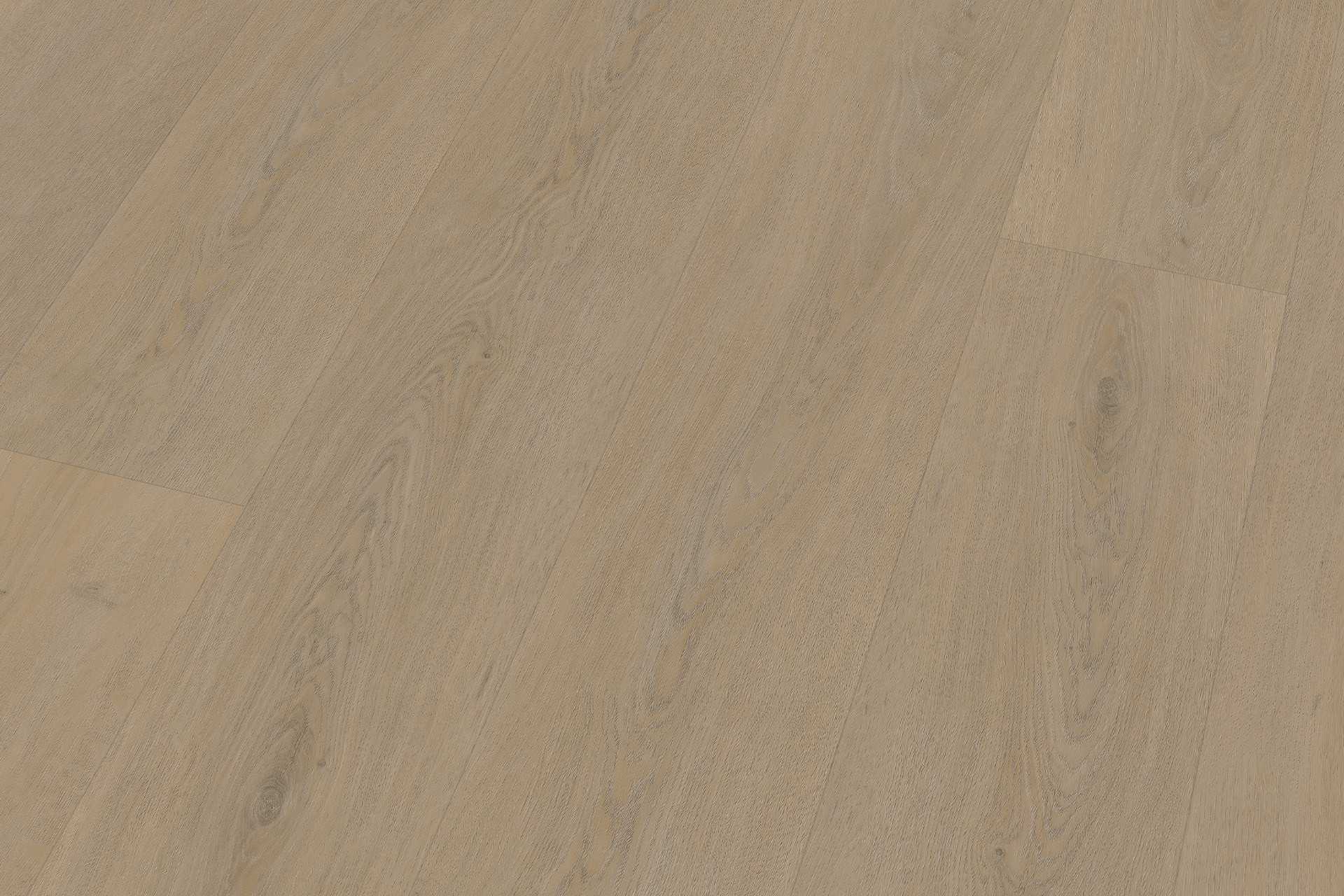 Solide English Oak Warm Natural XL - Image 5