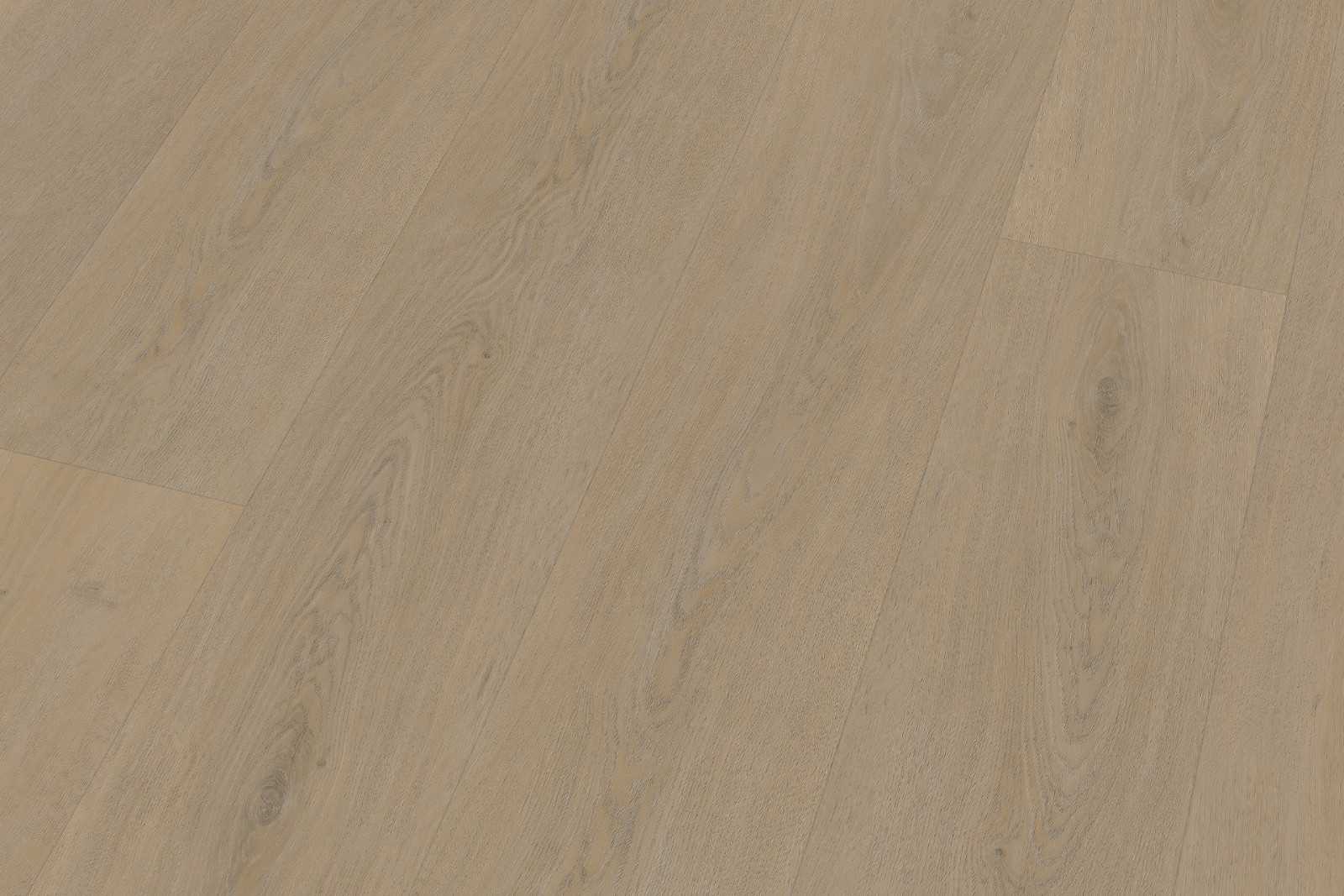 Solide English Oak Warm Natural XL - Image 5