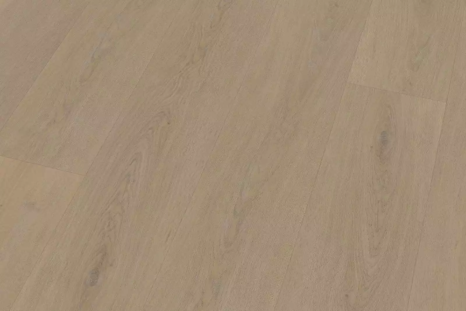 Solide English Oak Warm Natural XL - Image 5