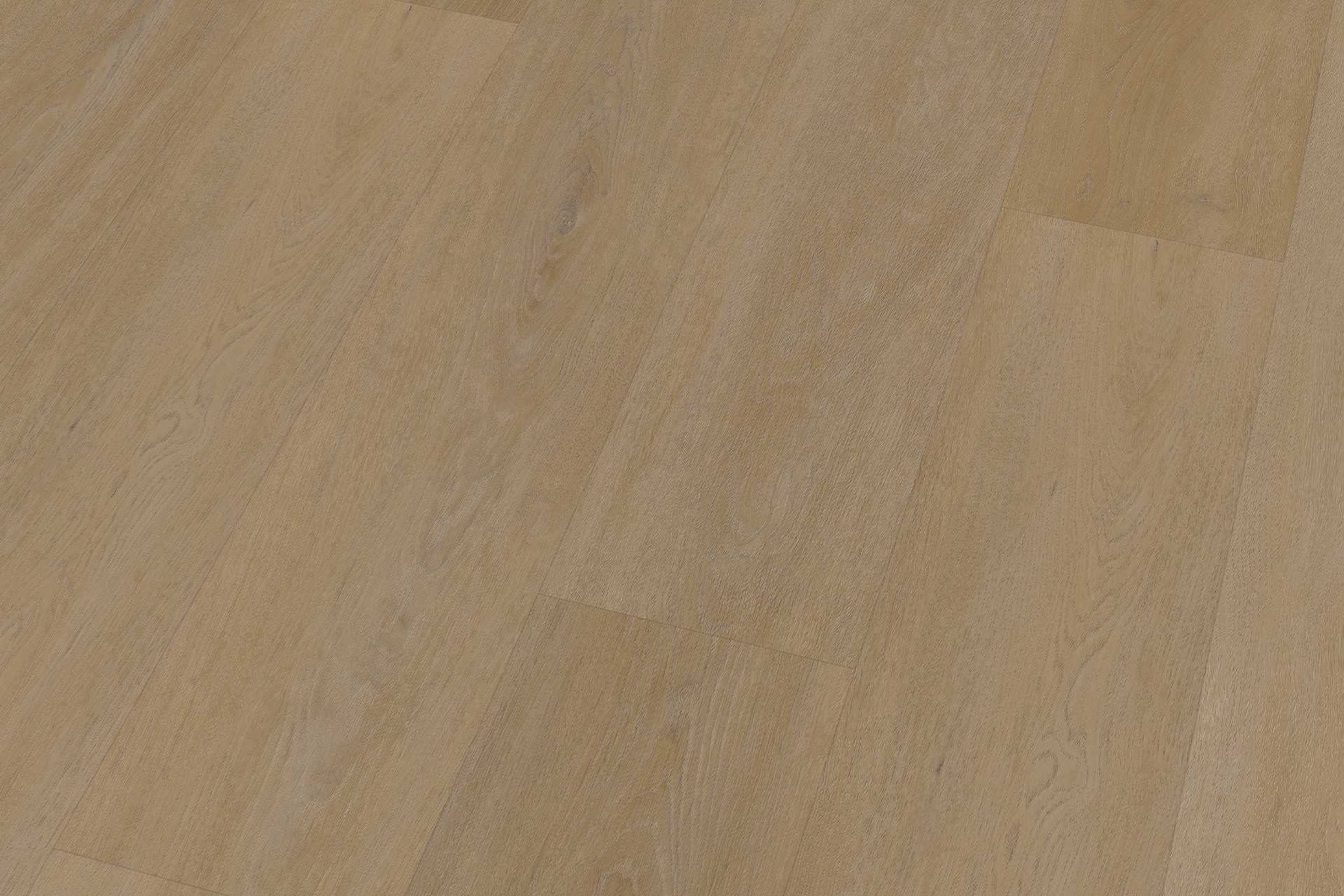 Solide English English Oak Honey XL - Image 4