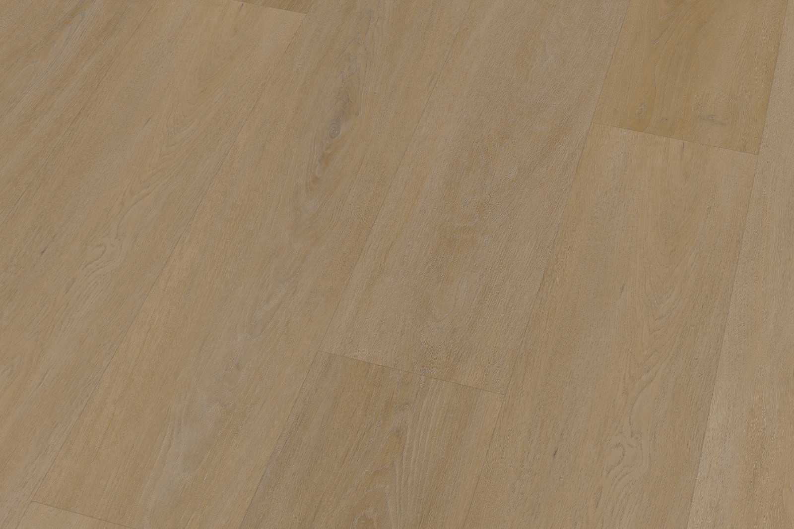 Solide English English Oak Honey XL - Image 4