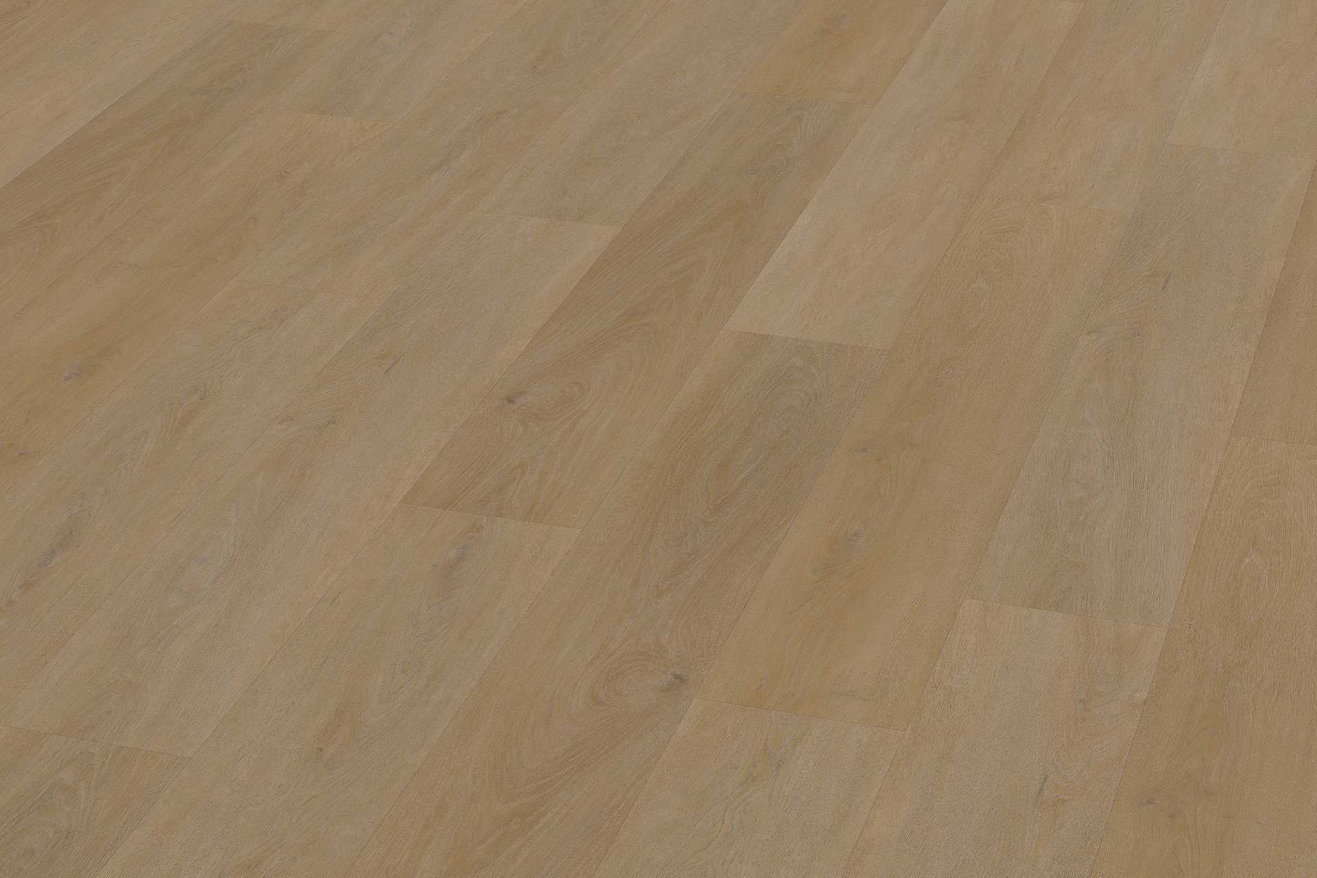 Solide English English Oak Honey XL - Image 5