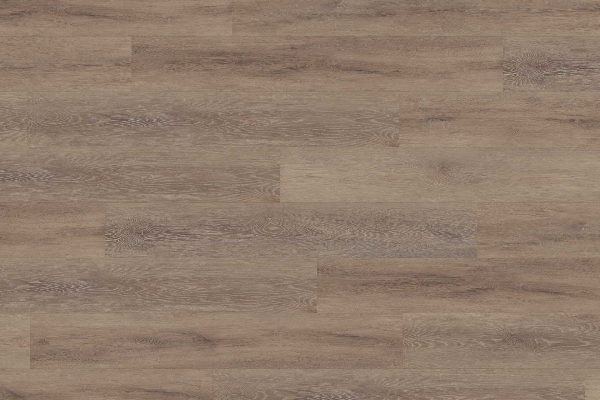 Solide Cerused Oak Dark Natural XL - Image 1