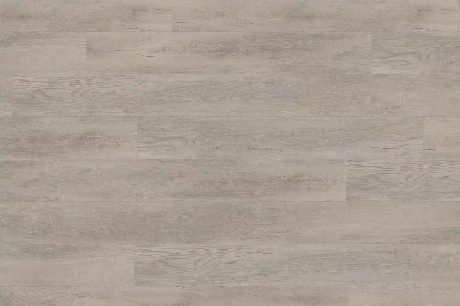 Rigid Old Oak Light Beige XXL - Image 1