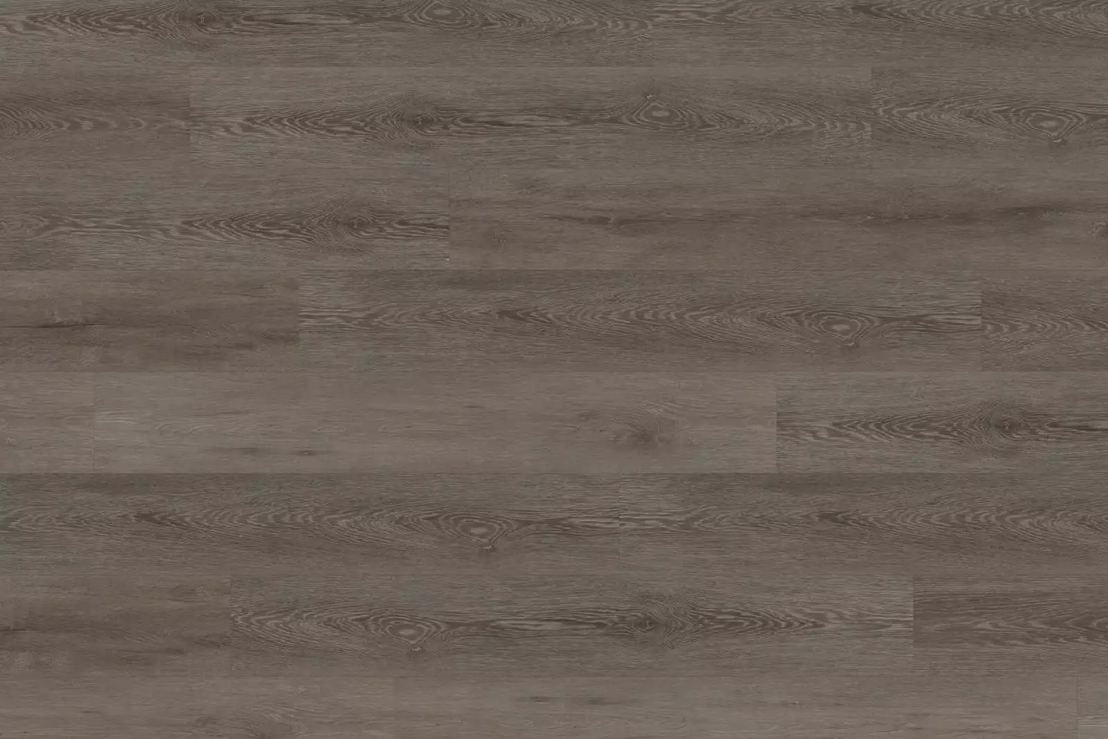 Solide Cerused Oak Dark Brown XL - Image 2