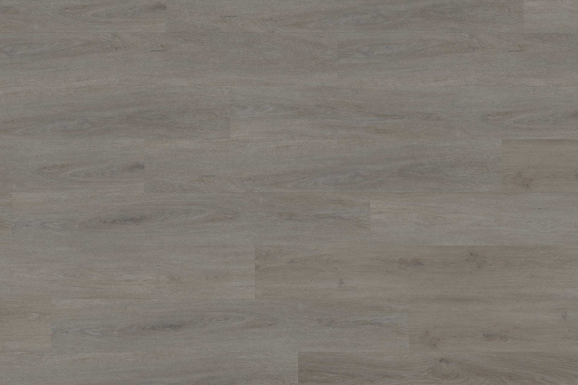 Rigid English Oak Taupe XXL - Image 2