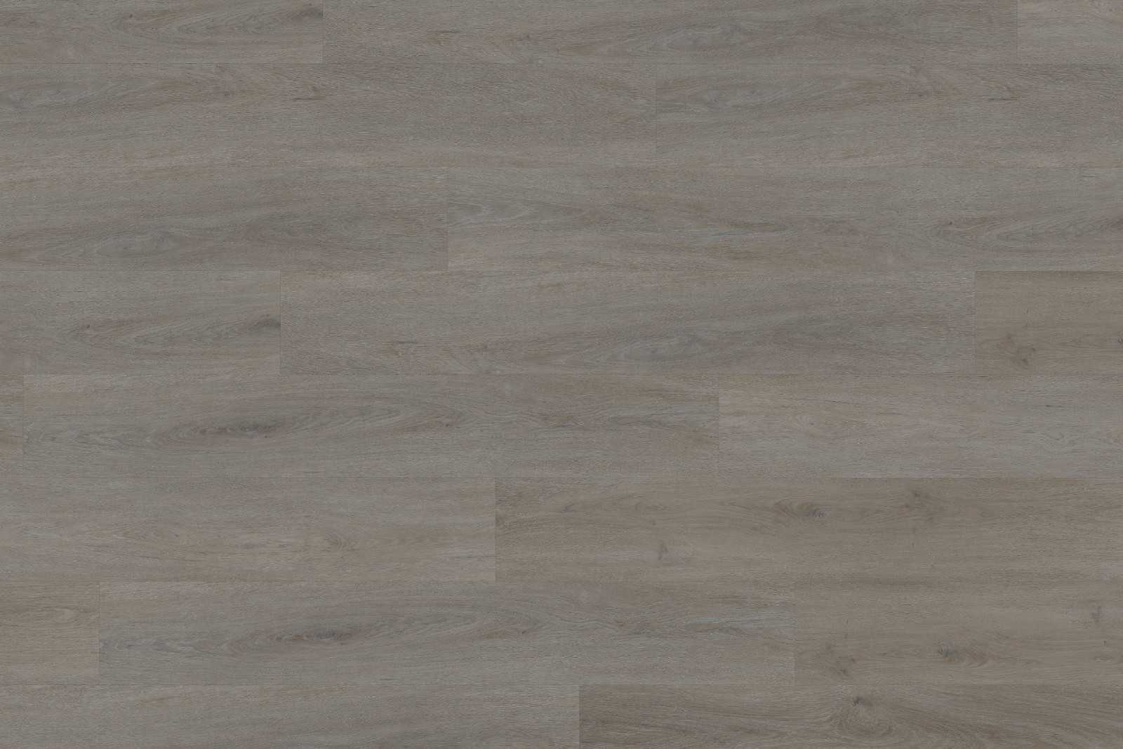 Rigid English Oak Taupe XXL - Image 2