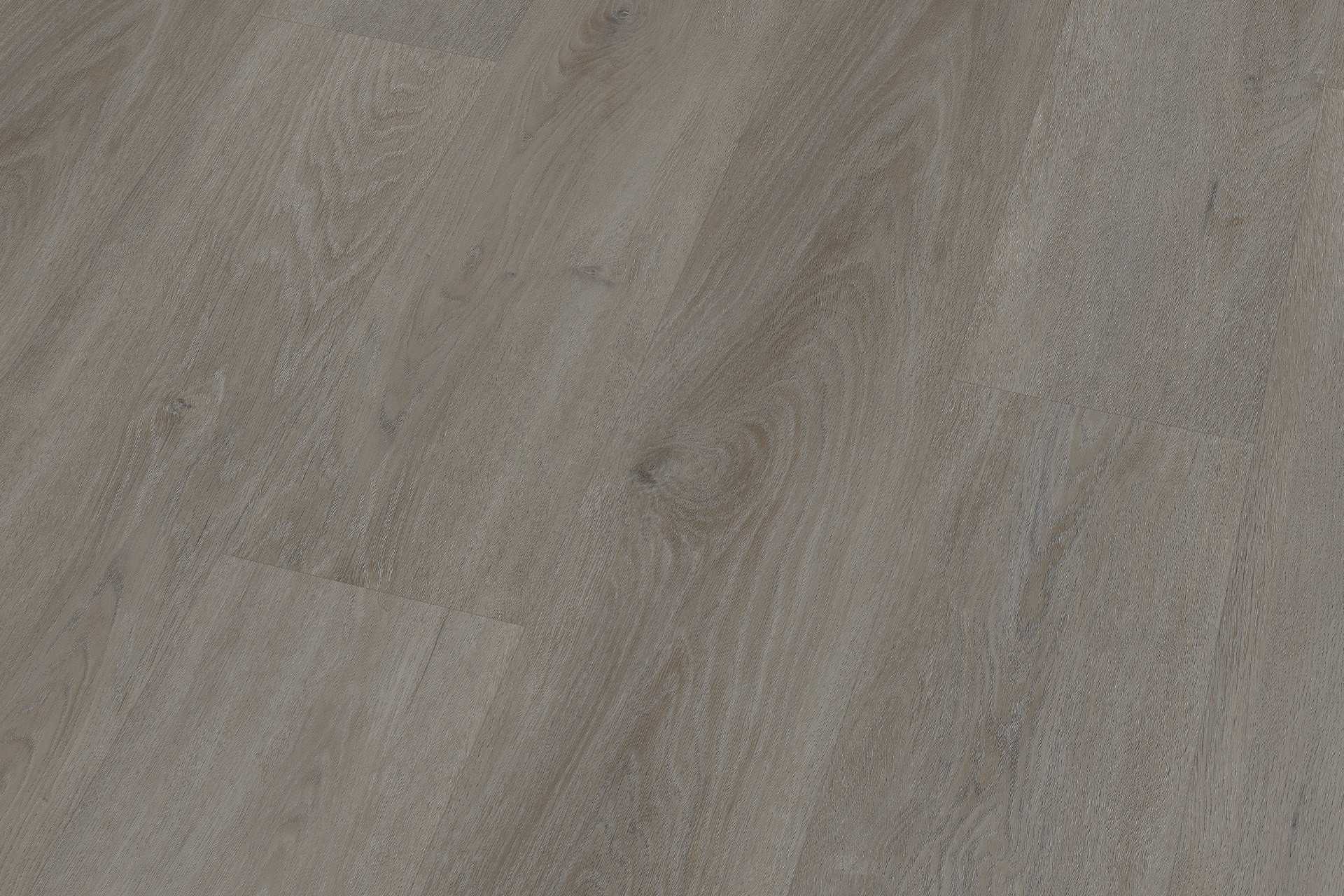 Rigid English Oak Taupe XXL - Image 4
