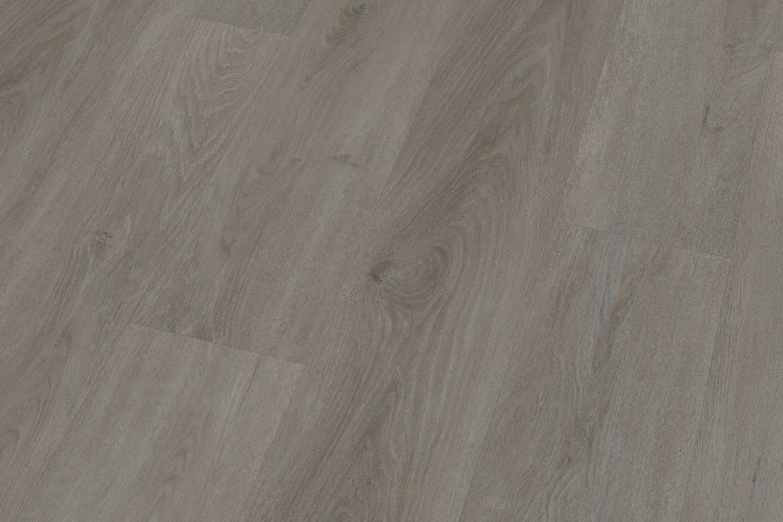 Rigid English Oak Taupe XXL - Image 4