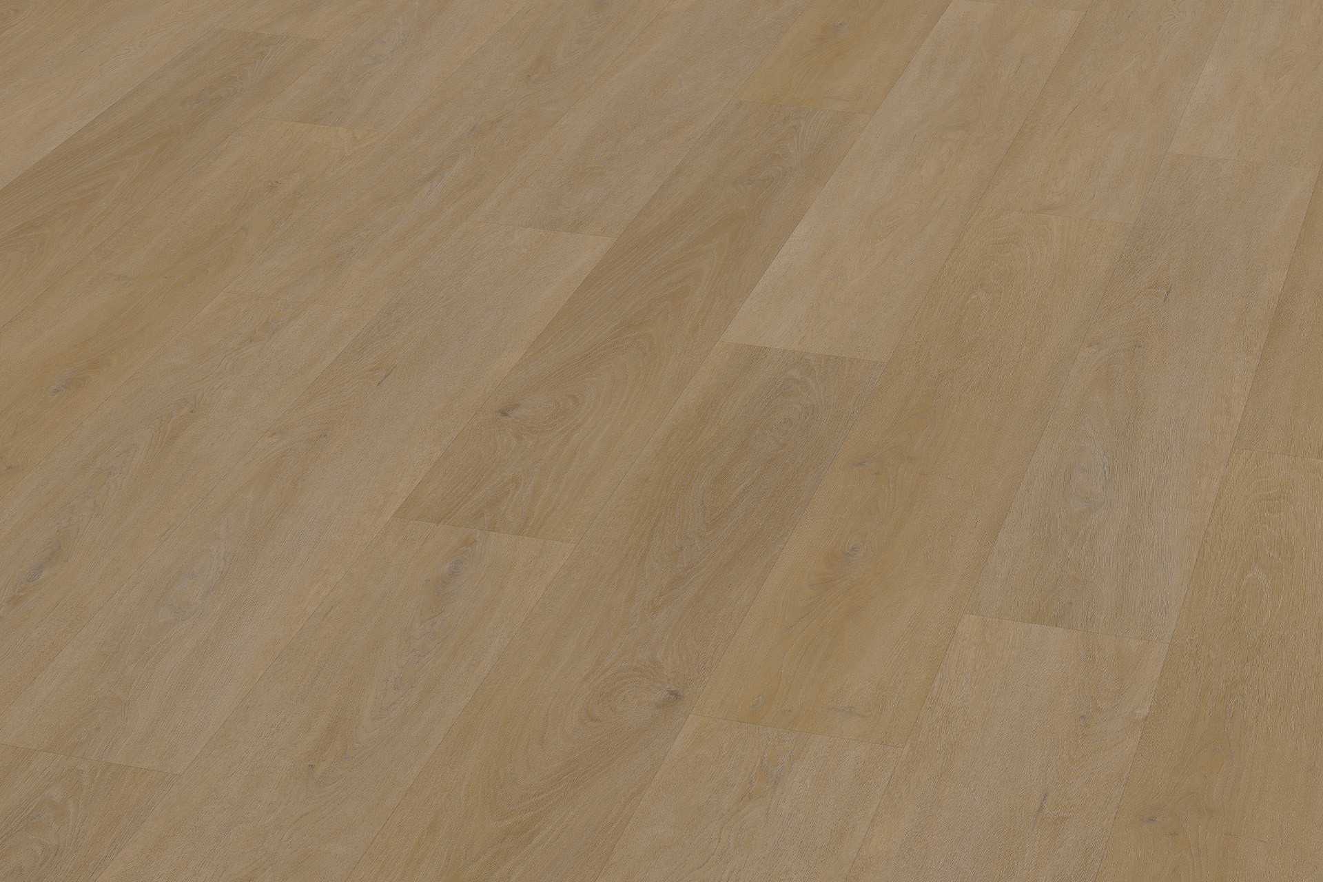Rigid English Oak Honey XXL - Image 3